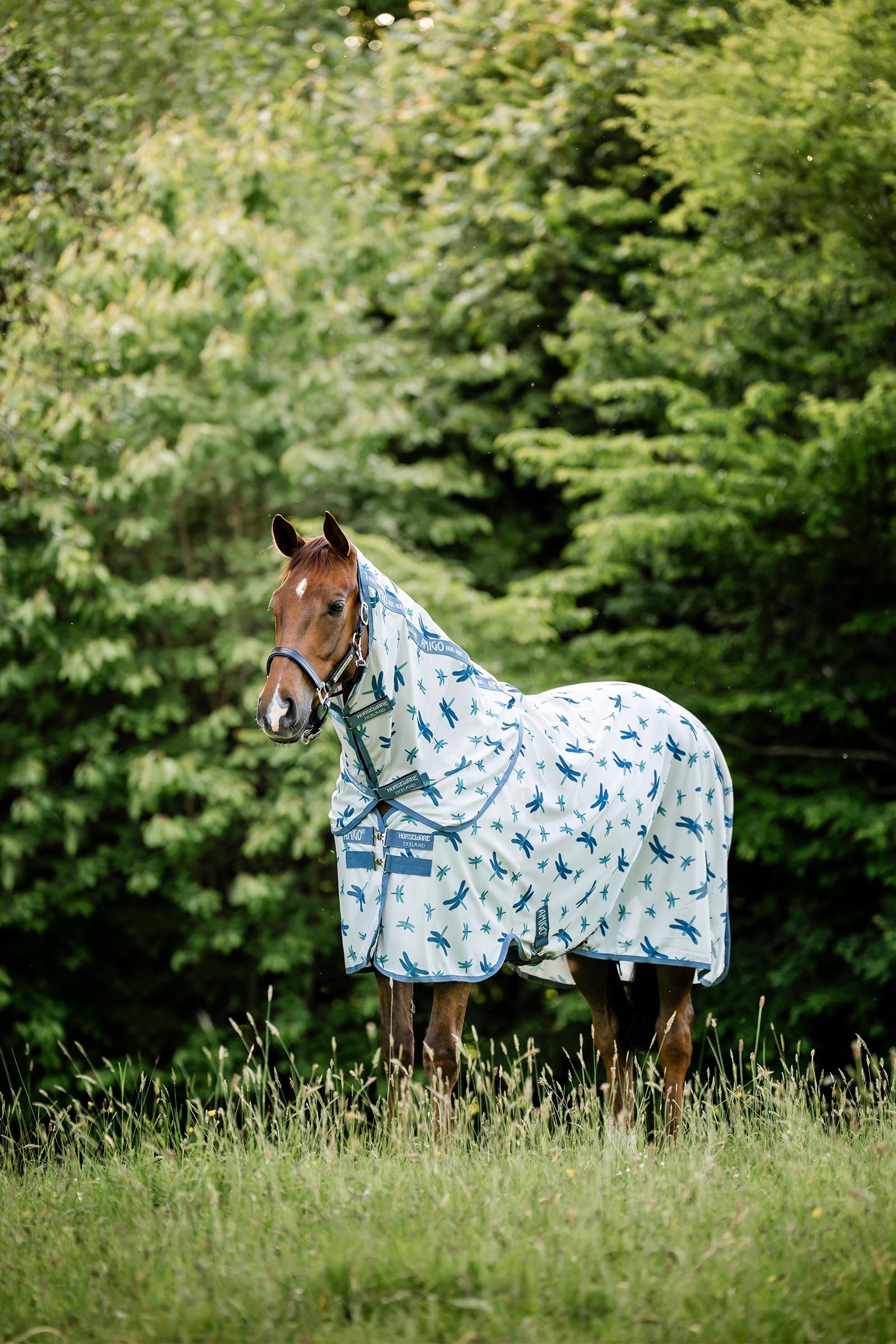 Horseware Amigo Deka proti hmyzu Plus Horse Rugs