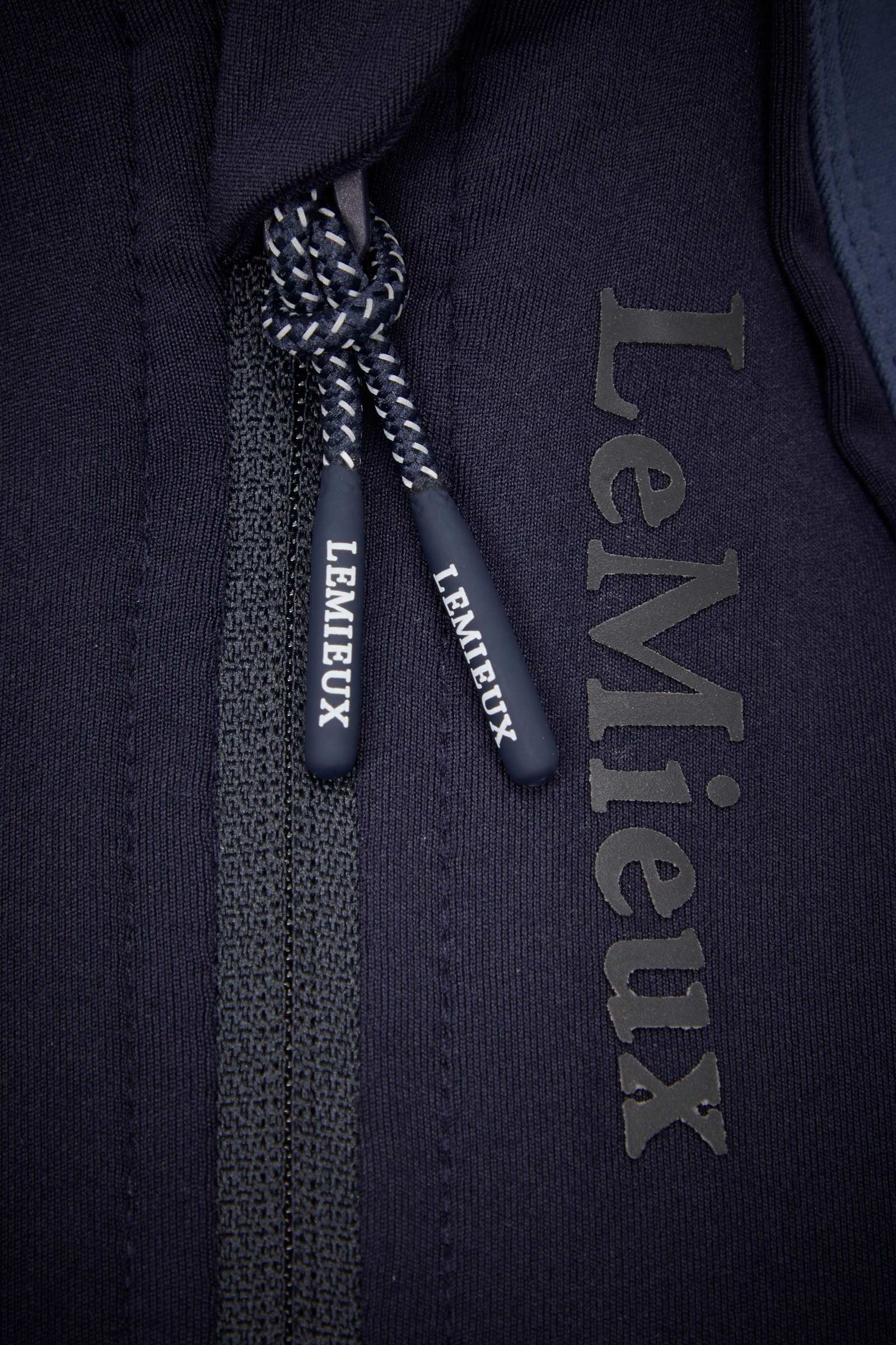 Alt Tag fallback text for IMAGE