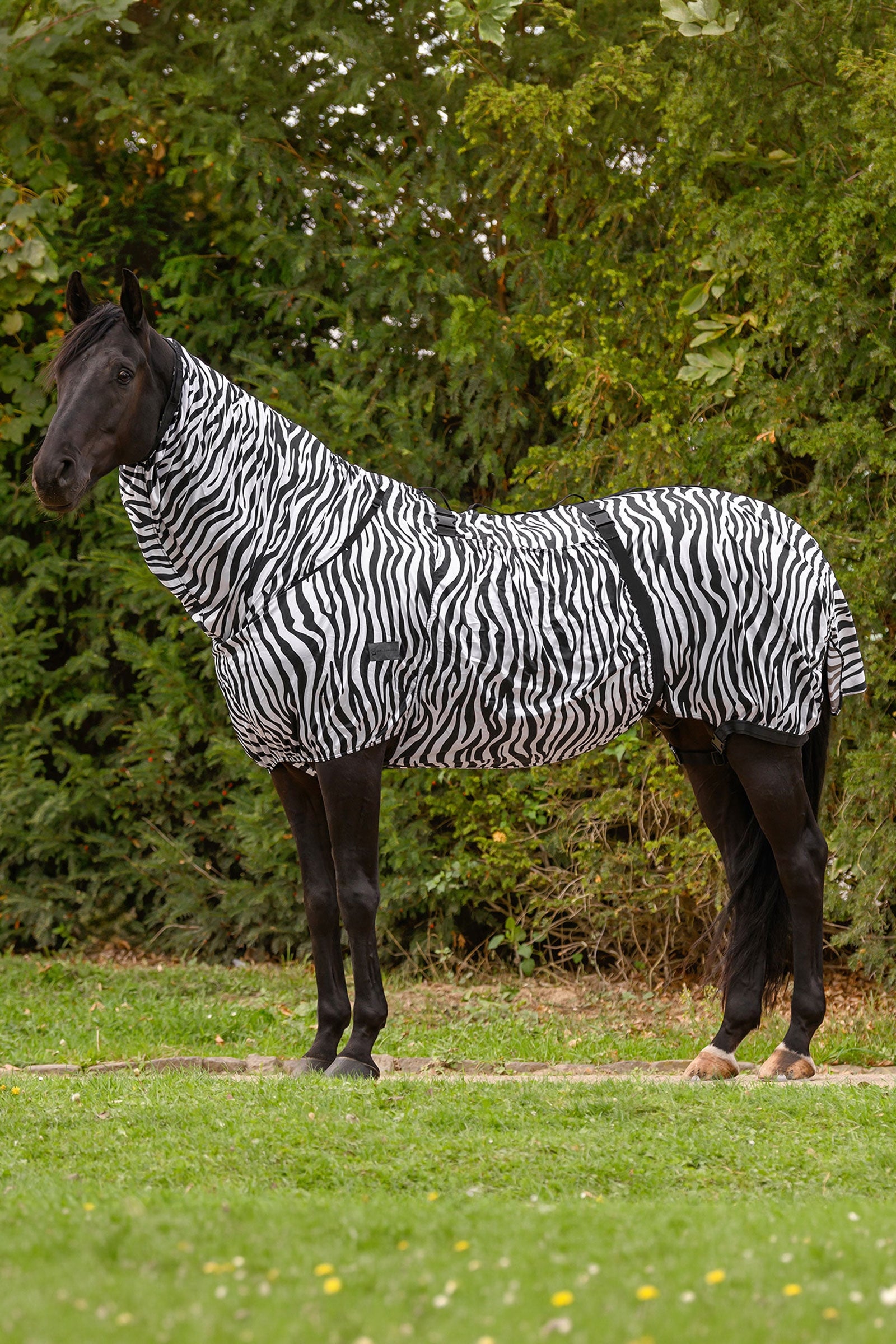 Waldhausen Basic zebra deka pro ekzematiky s UV ochranou Horse Rugs