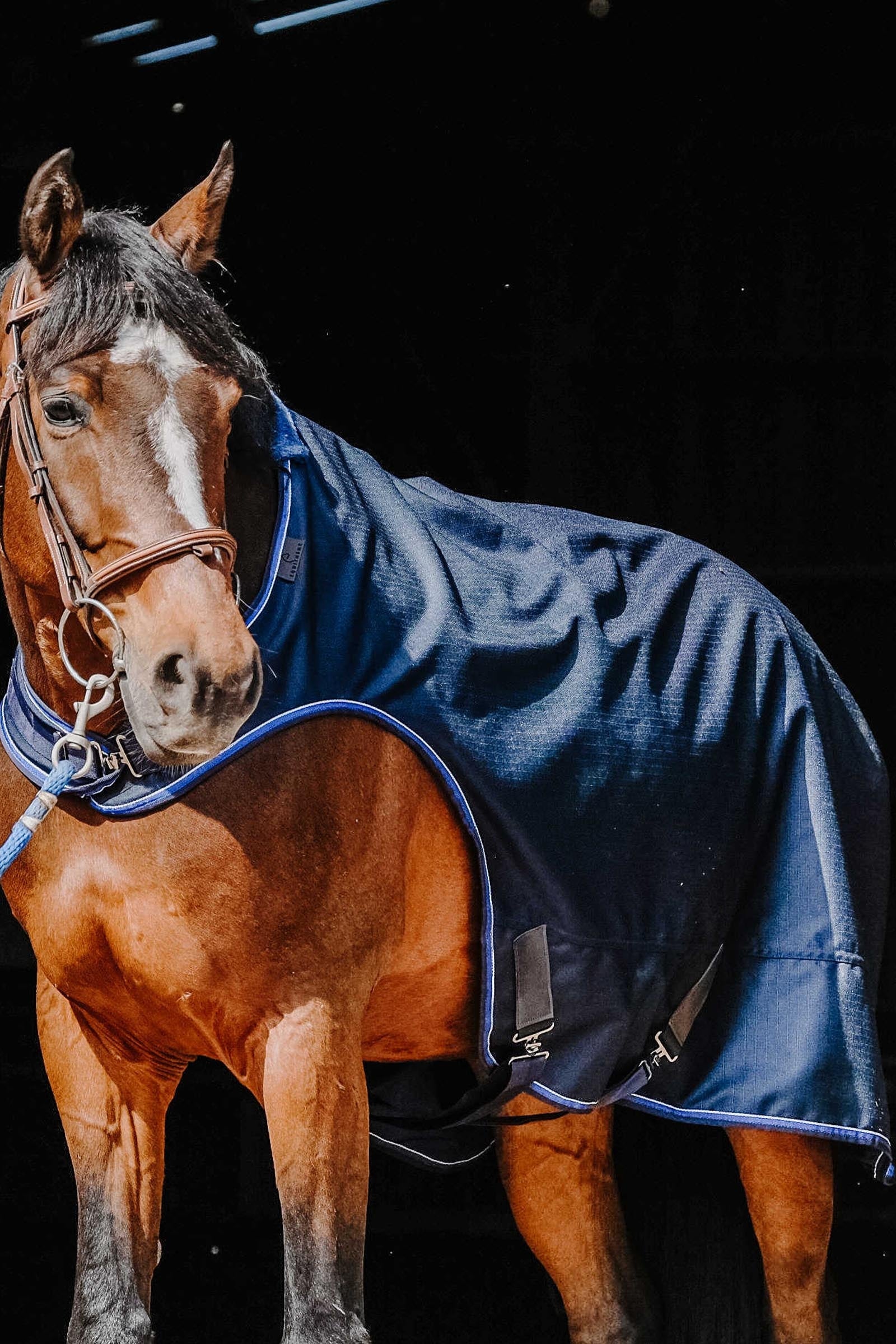 EQUITHÈME Classic 1200D Walker Sheet Horse Rugs