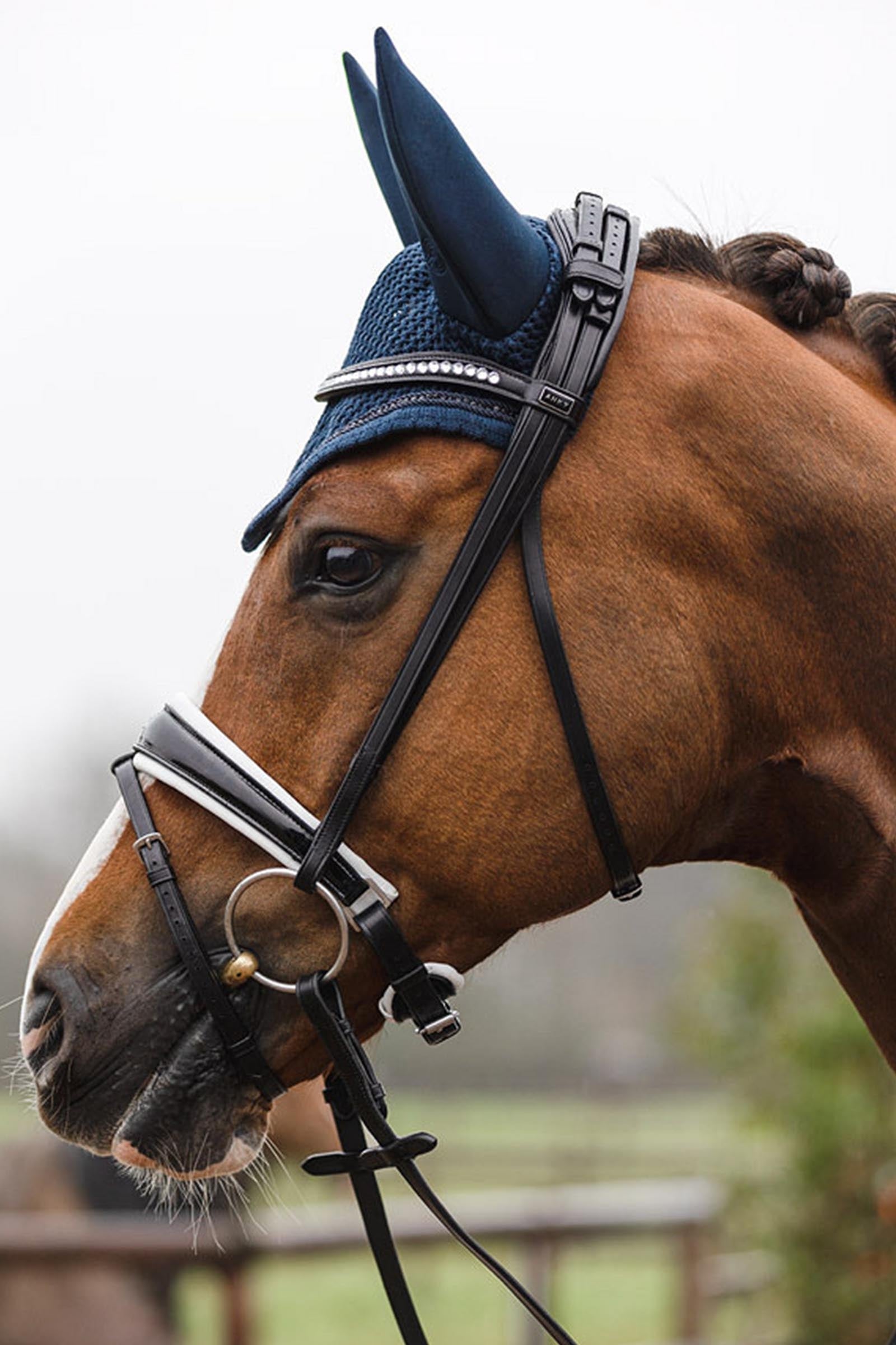 Anky ANKY Anatomic Bridle With Crown Buckle & Reins Bridles & Reins