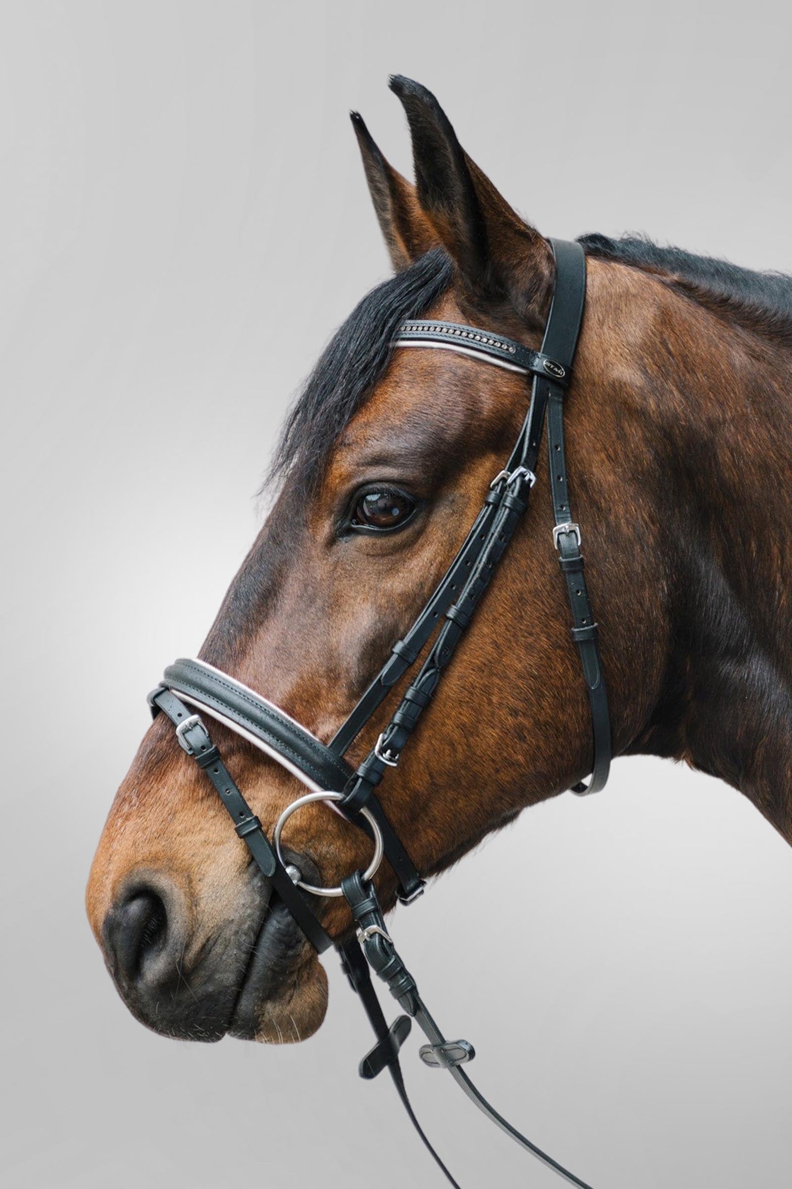 Star Diamant uzdečka s kombinovaným nánosníkem Bridles & Reins