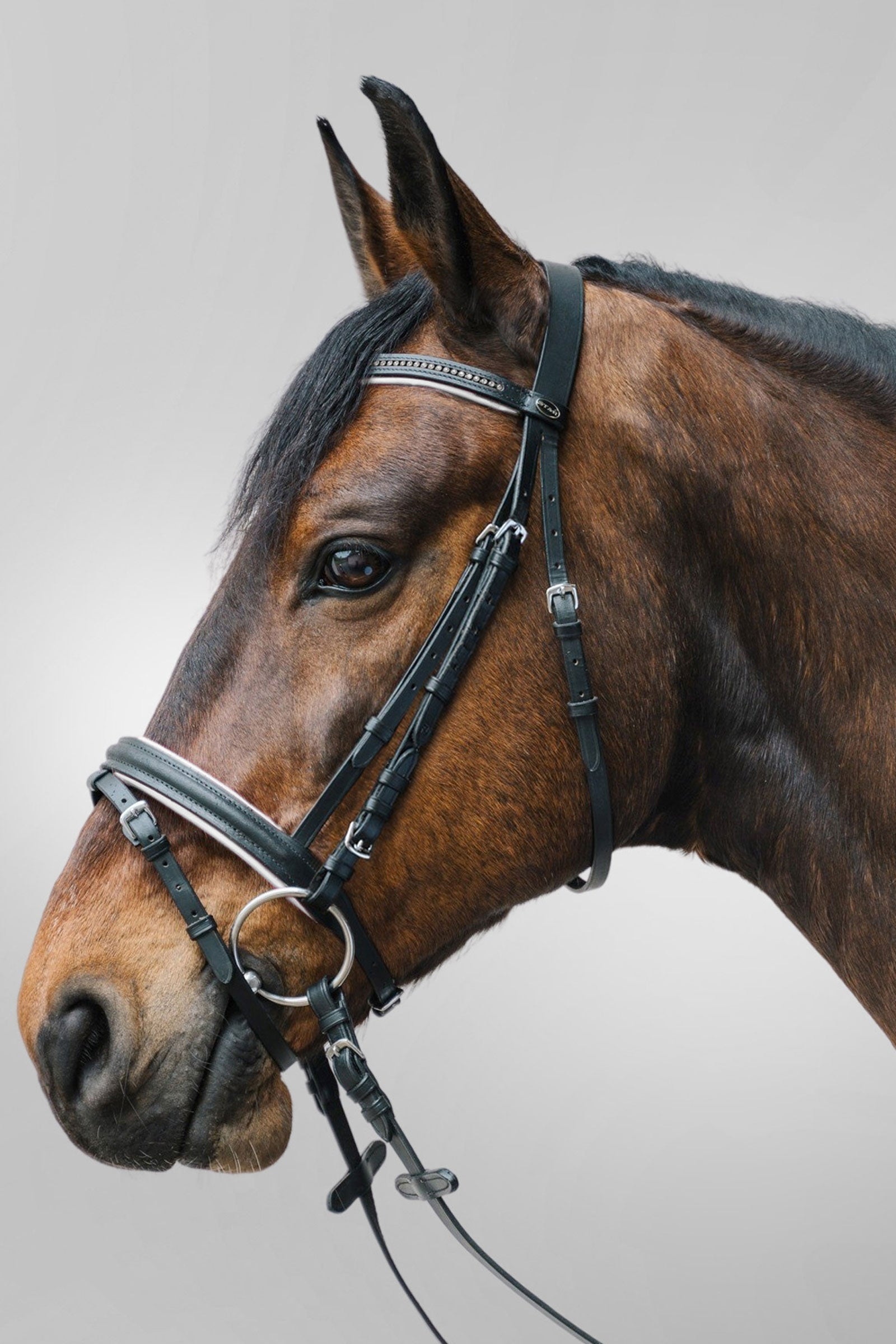 Waldhausen uzdečka Star Diamant Bridles & Reins