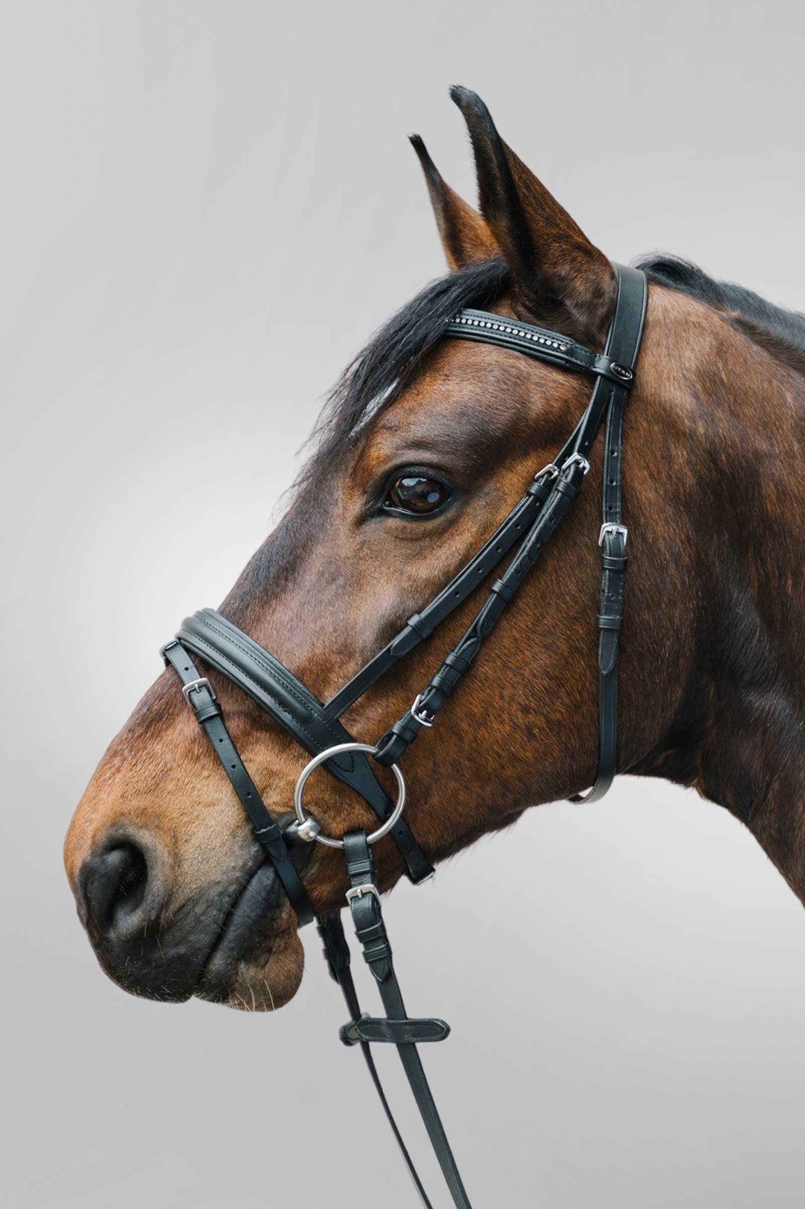 Star Diamant uzdečka s kombinovaným nánosníkem Bridles & Reins