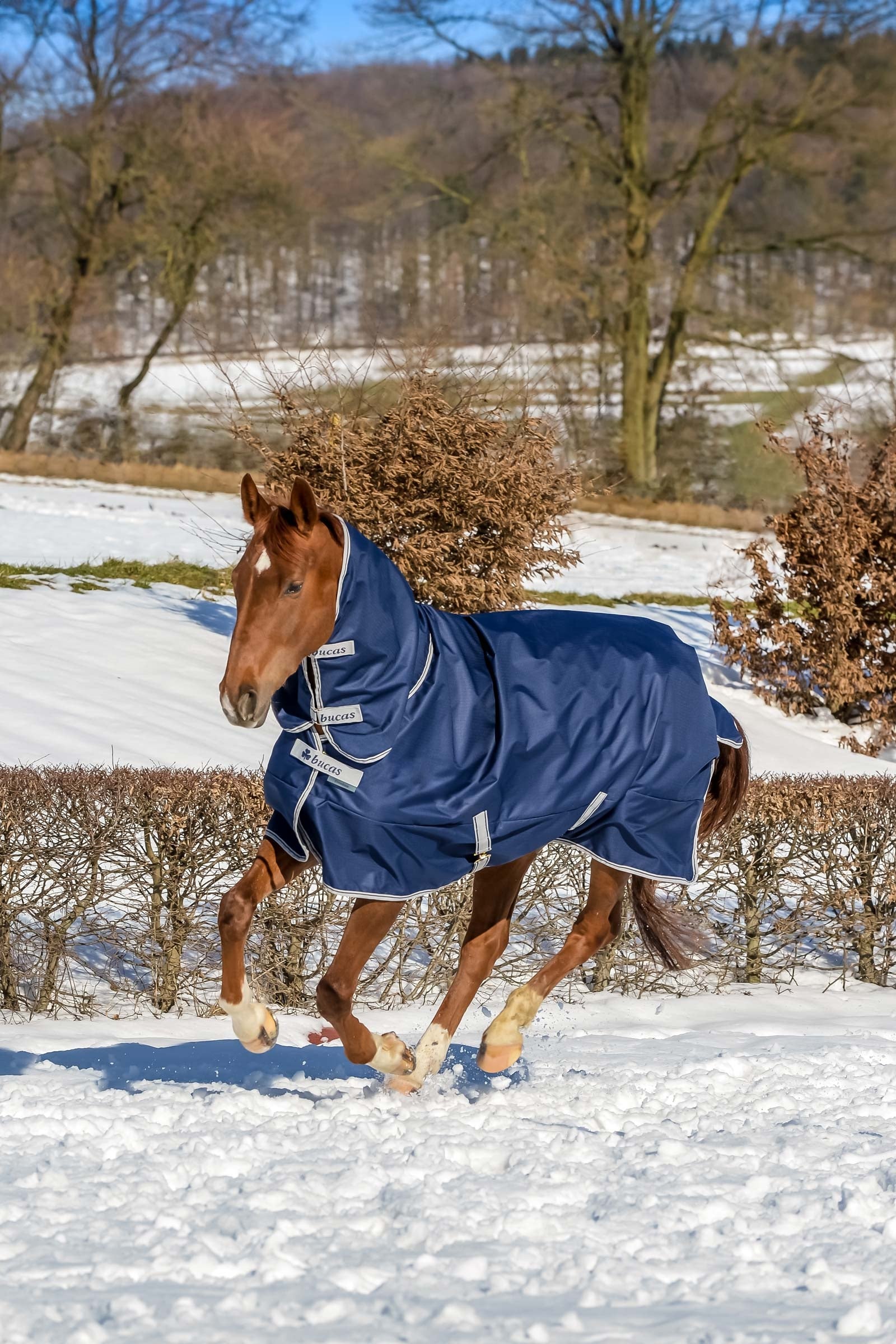 Bucas Freedom výběhová deka s pevným plným krkem (300g / 150g) Horse Rugs