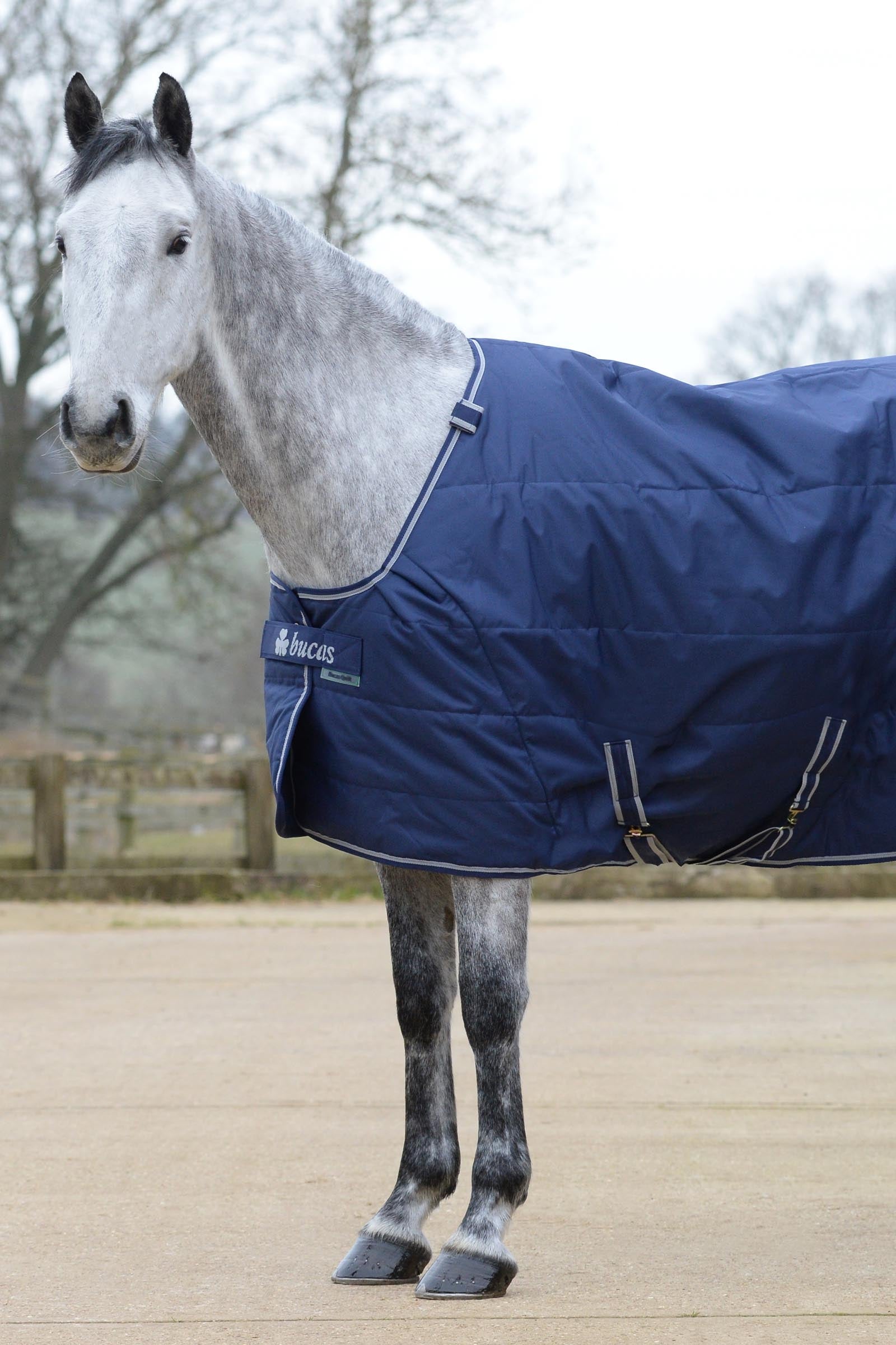 Bucas Quilt 150g SD Big Neck Horse Rugs