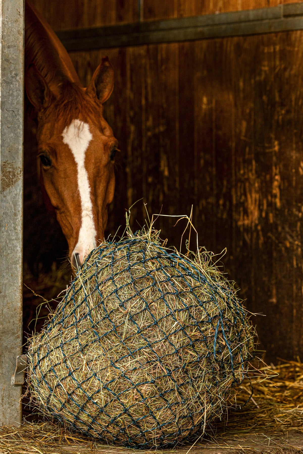 HIPPOTONIC ZARI Síť na seno (105 cm), 5 x 5 oka Horse Feeders & Waterers