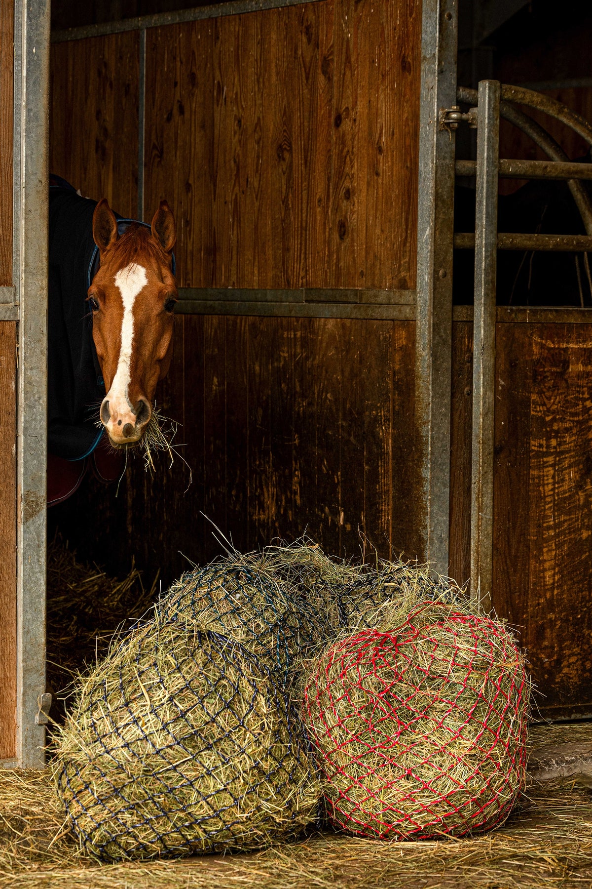 HIPPOTONIC ZARI Síť na seno (105 cm), 5 x 5 oka Horse Feeders & Waterers
