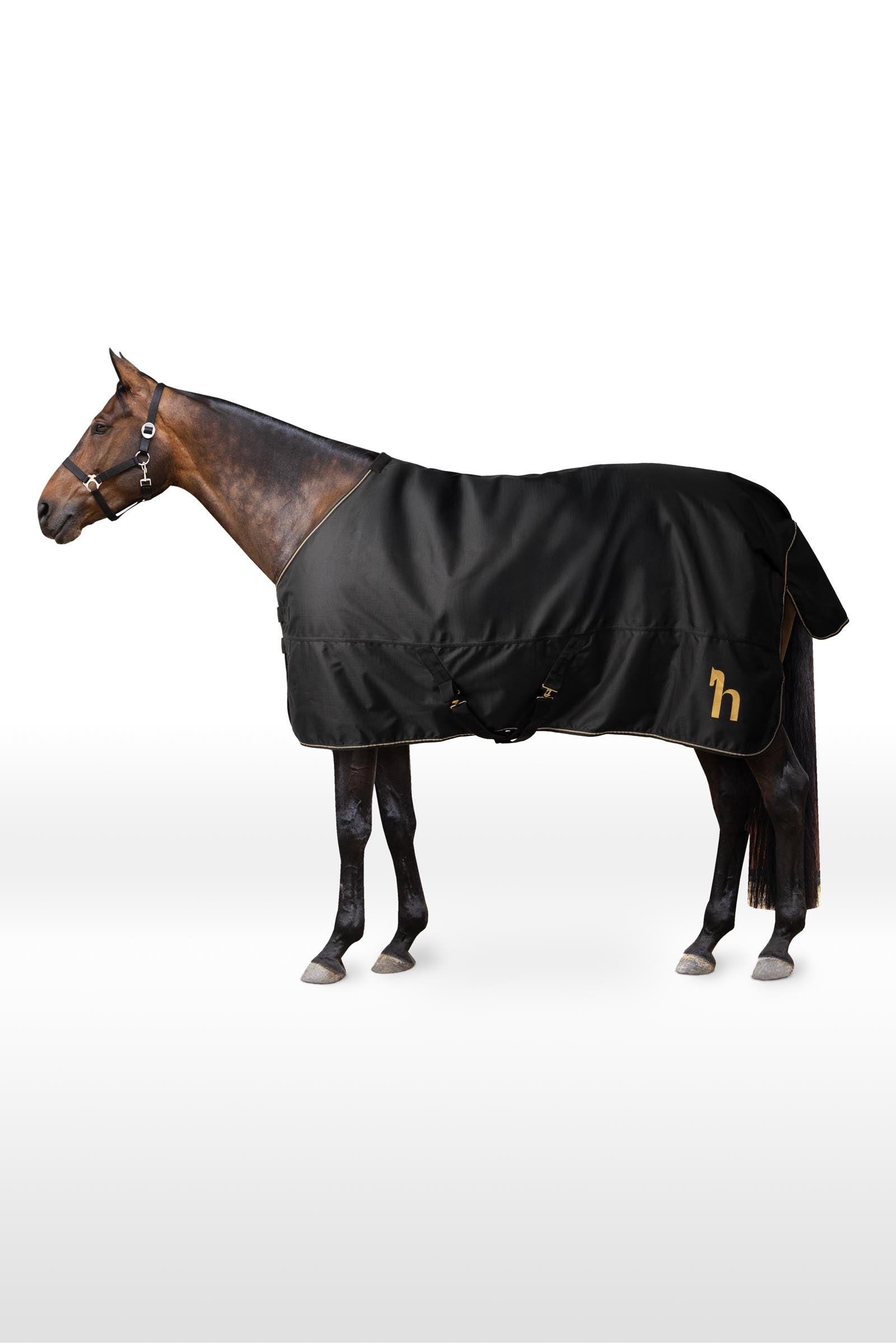 Horze 1200D výběhová deka, 100 g Horse Rugs