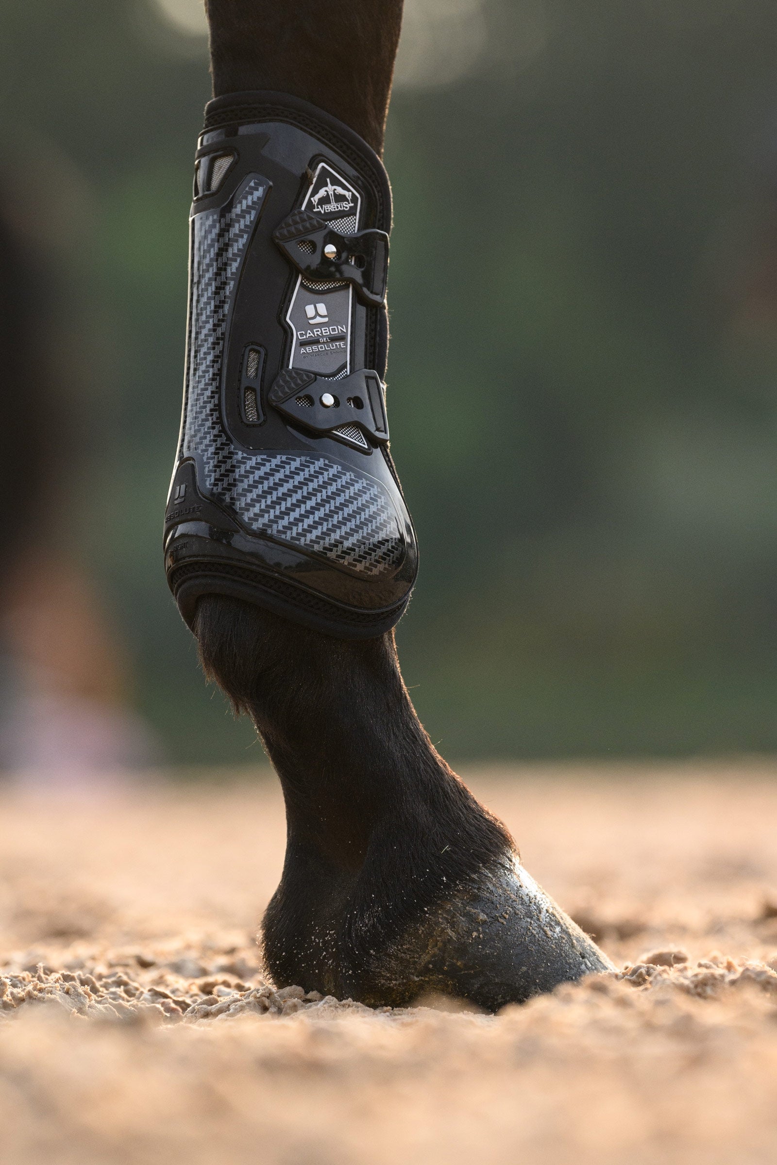 Veredus Carbon Gel Absolute Tendon Boots Leg & Hoof Protection