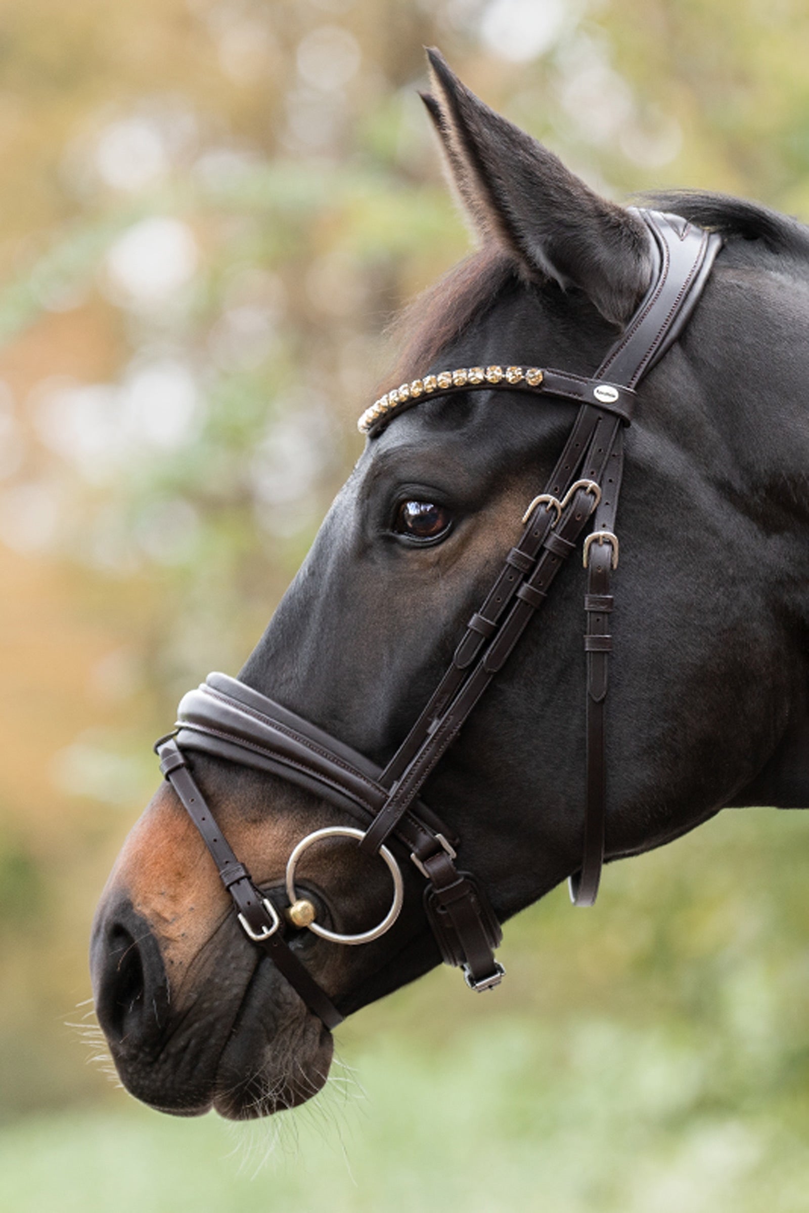 Kavalkade Zora Kranková Trense s Flash Nasenriemen Bridles & Reins