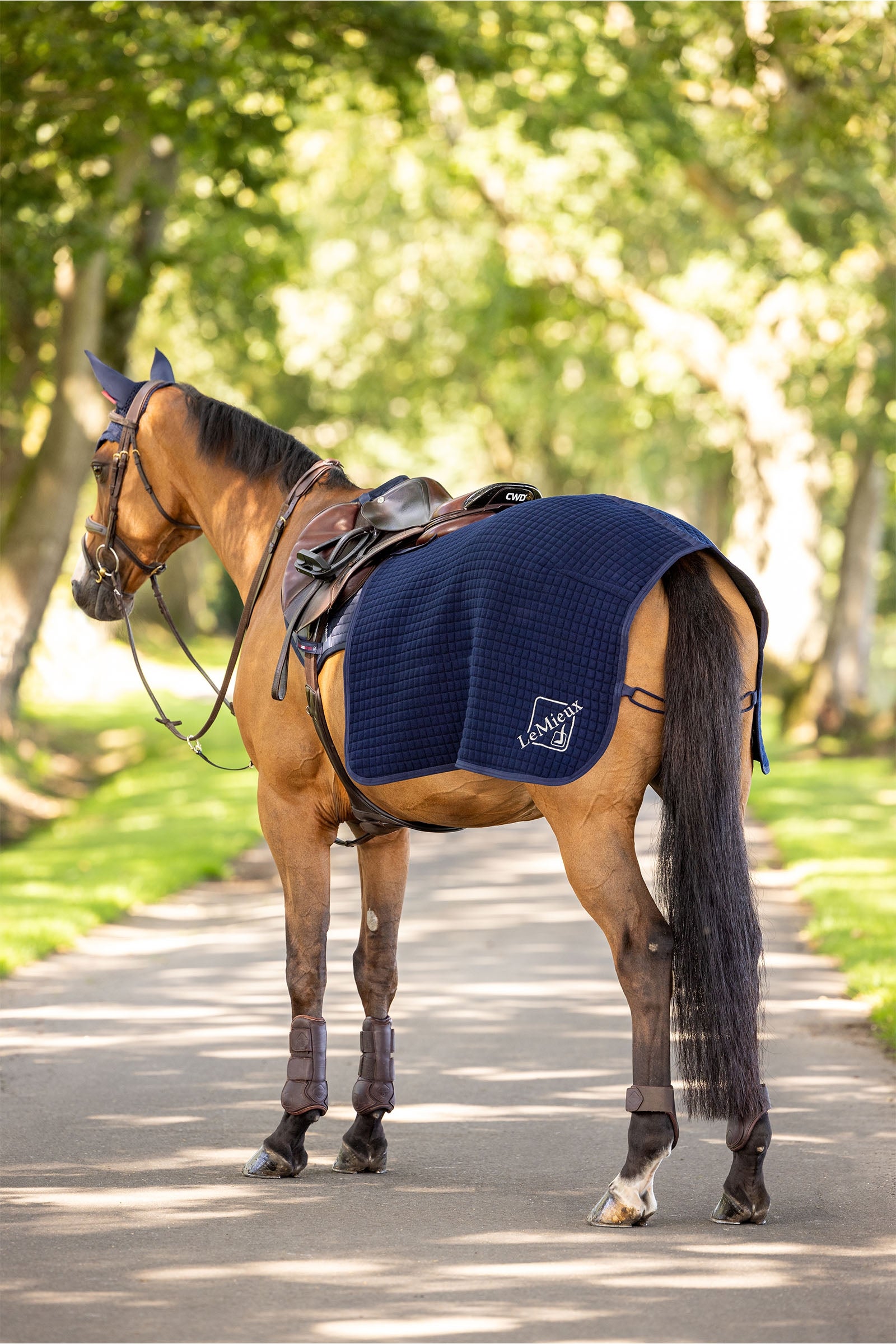 LeMieux Clima Tek čtvrtinová deka Horse Rugs