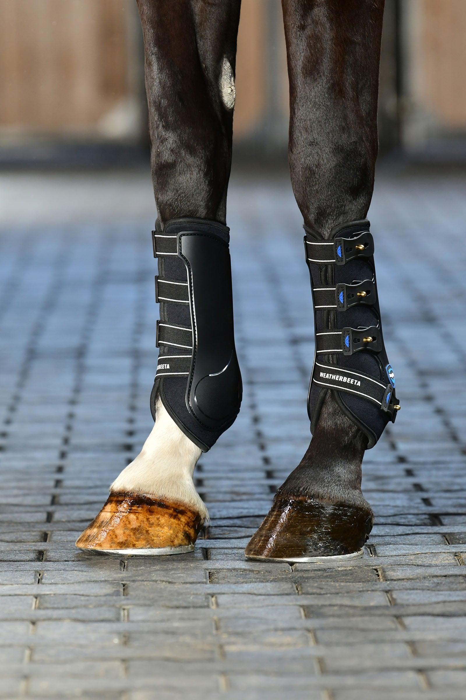 Weatherbeeta Tough-Tec Hard Shell Dressage Boots Leg & Hoof Protection