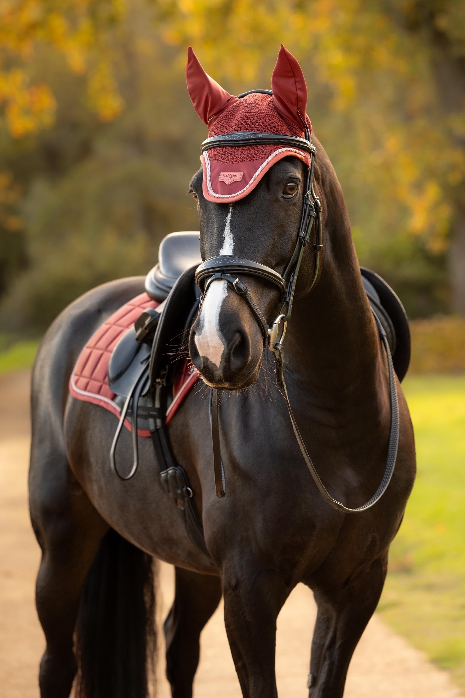 LeMieux Loire Fly Hood Saddle Pads