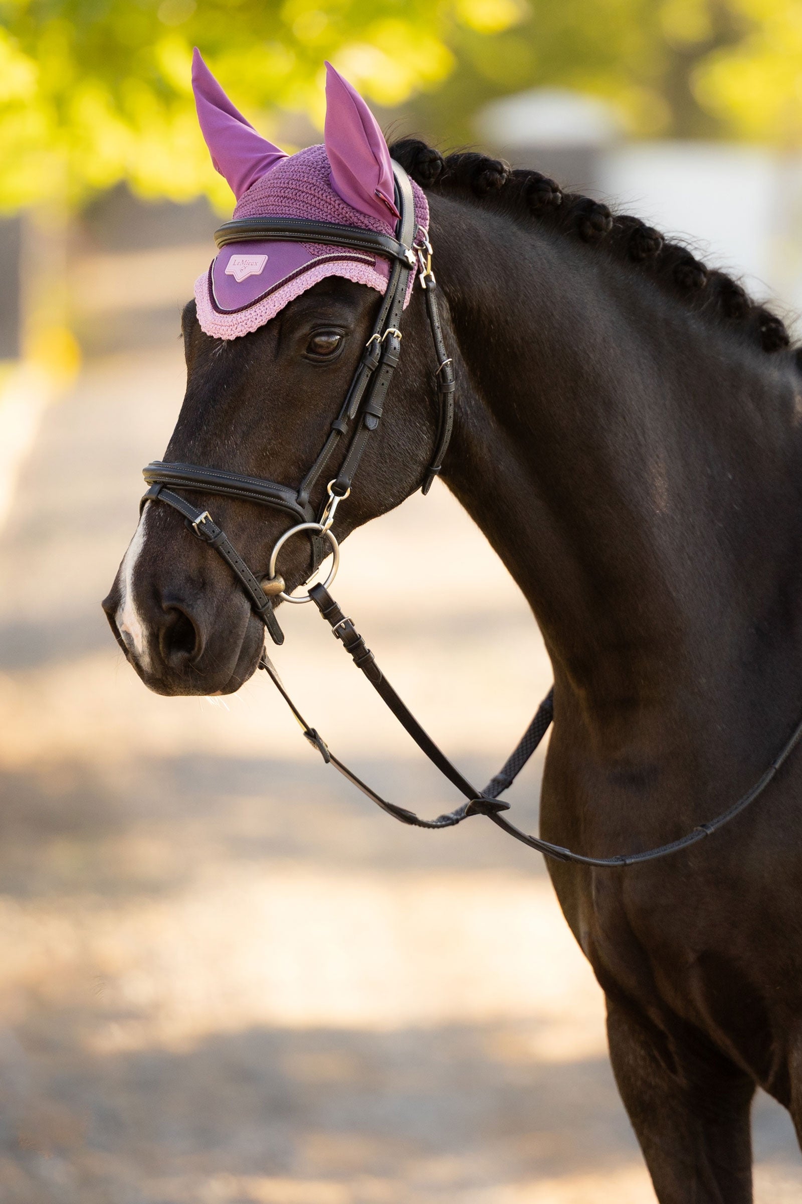 LeMieux Loire Fly Hood Saddle Pads