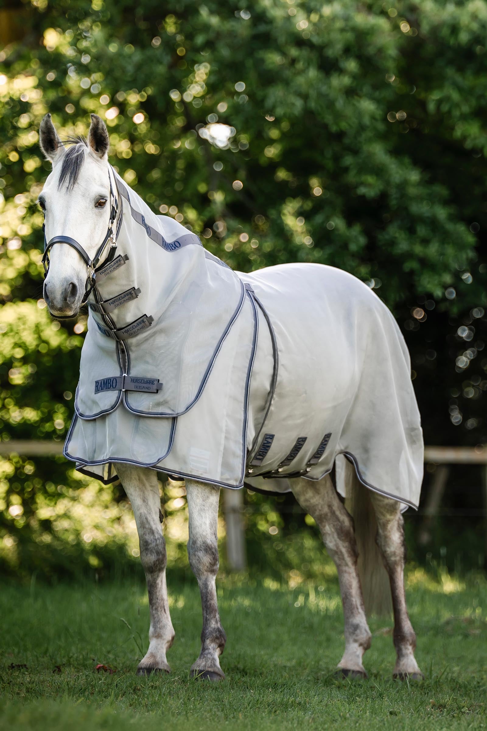 Horseware Rambo Optimo Protector Plus výběhová deka Horse Rugs