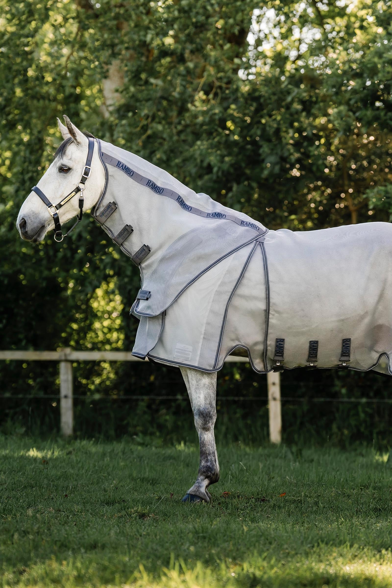 Horseware Rambo Optimo Protector Plus Rug Horse Rugs