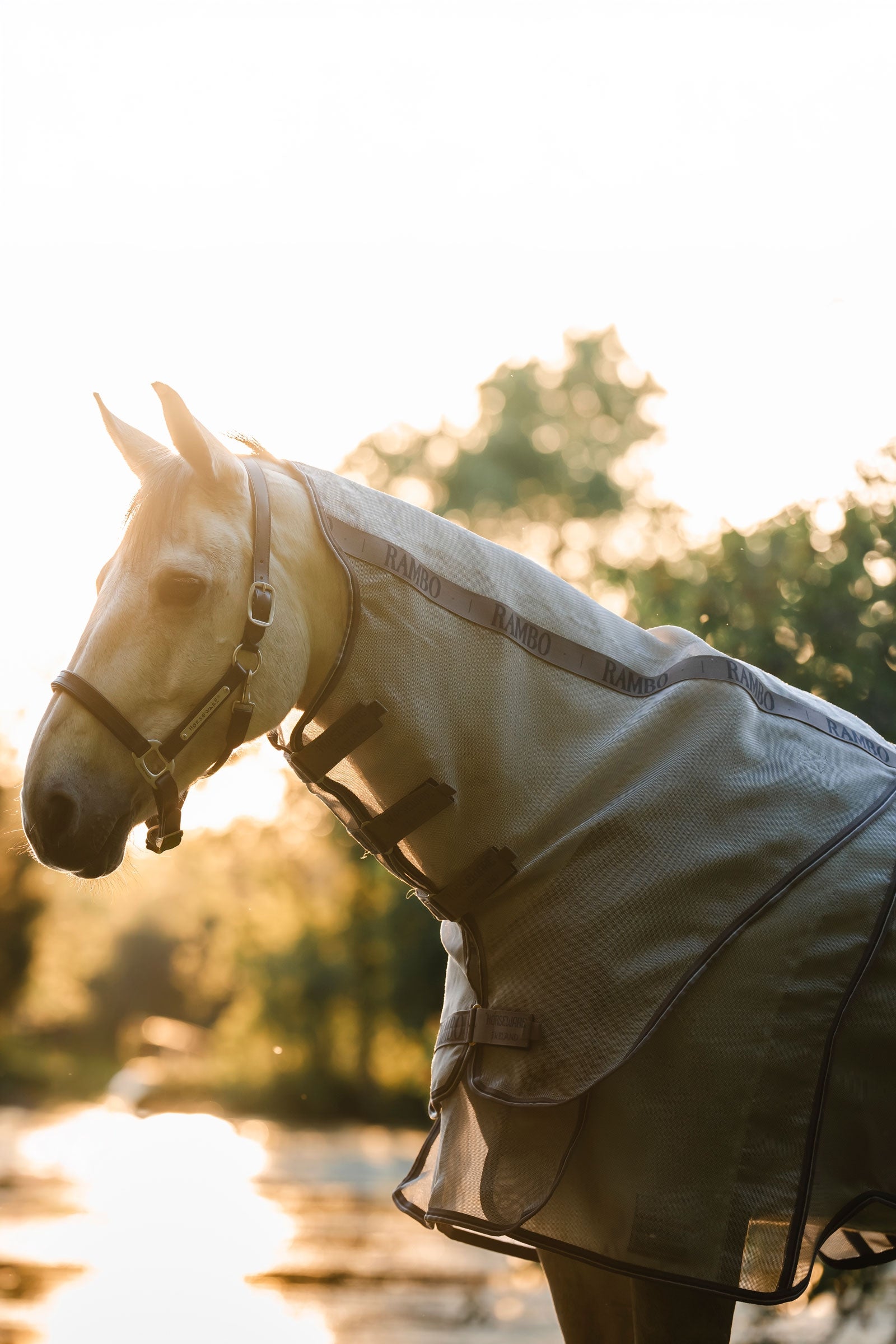 Horseware Rambo Optimo Protector Plus Rug Horse Rugs