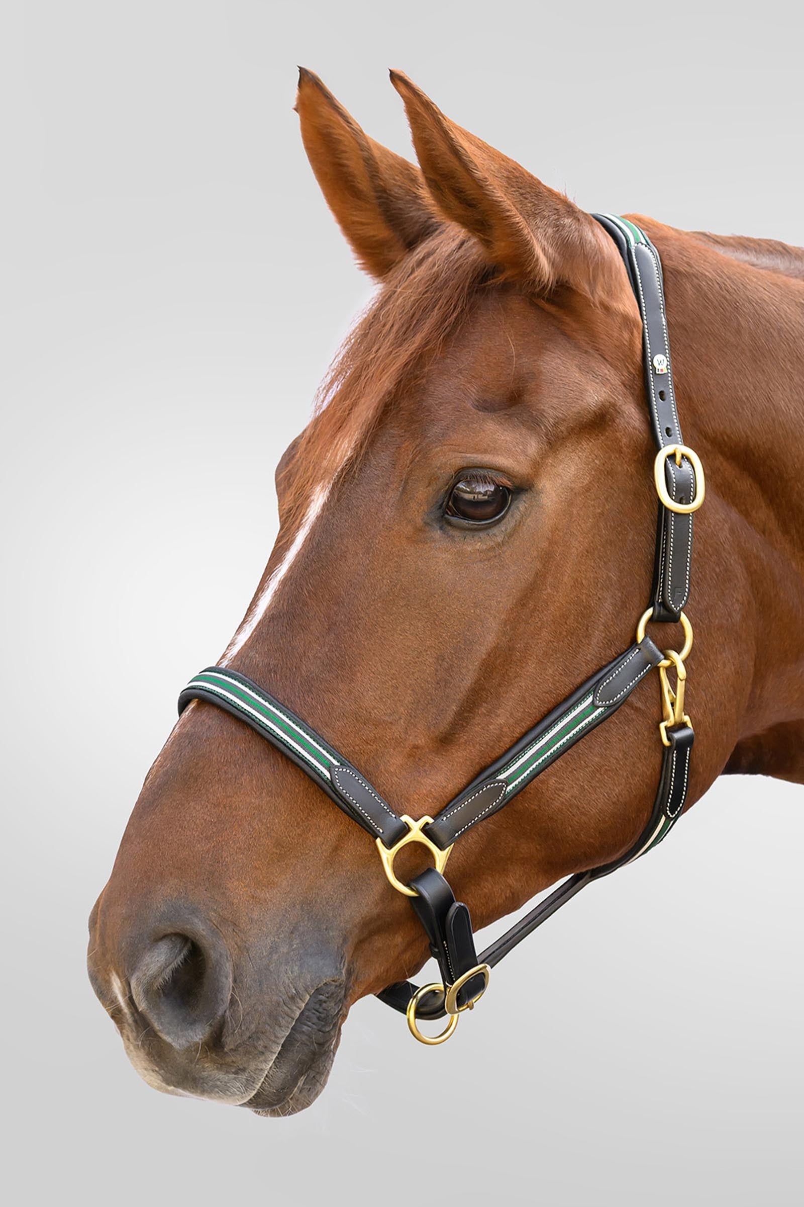 Waldhausen X-Line Oxford Leather Halter Halters & Leads