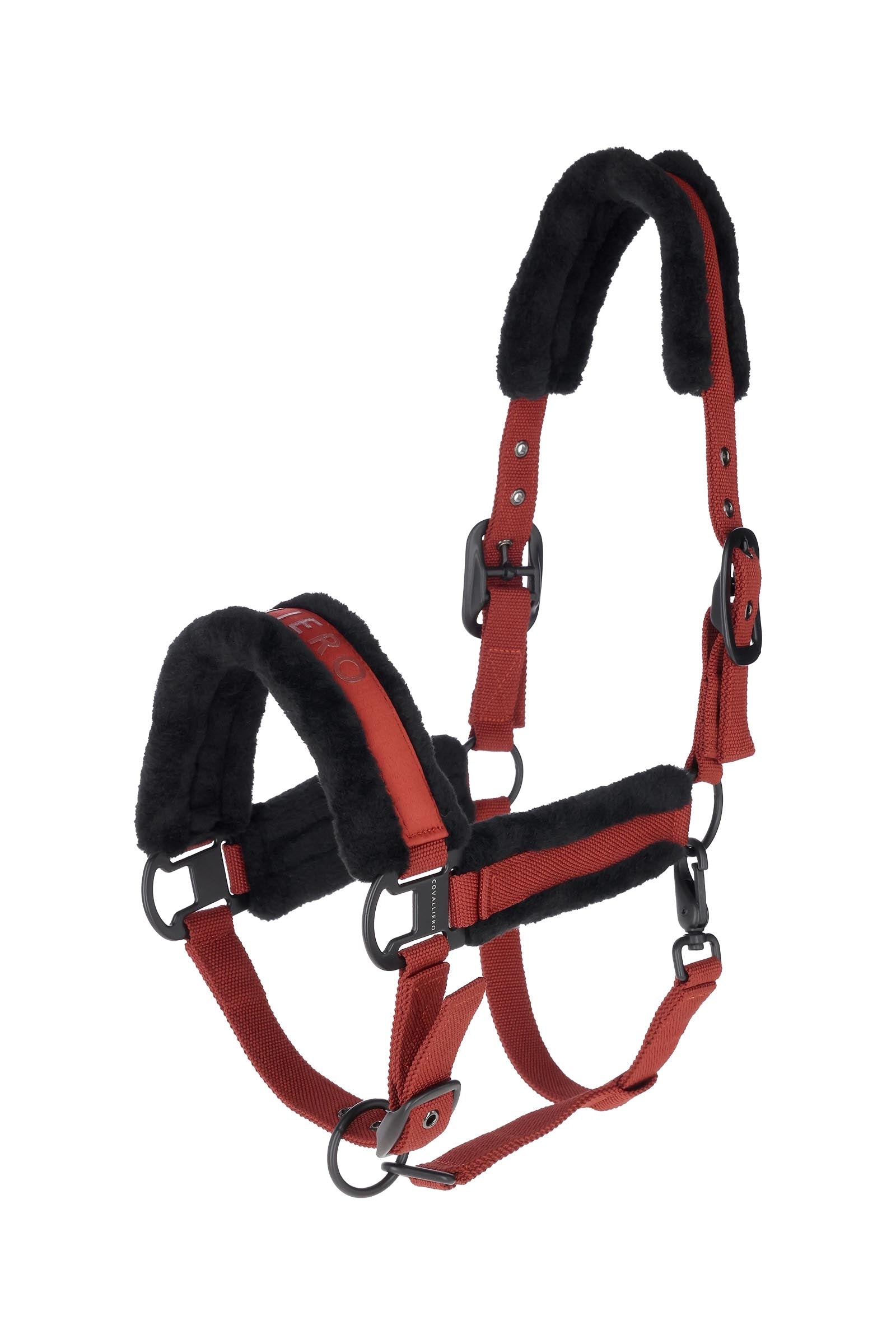 Covalliero Polstrovaná Ohlávka Halters & Leads