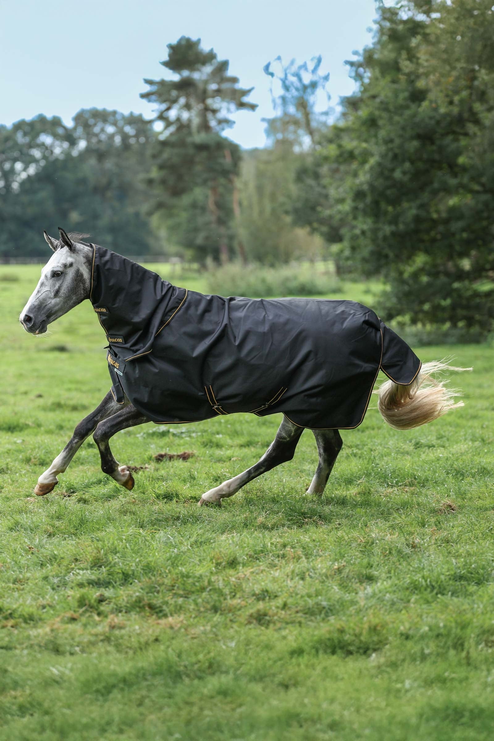 Bucas Irish Turnout 150 g Rug & Neck Set Horse Rugs