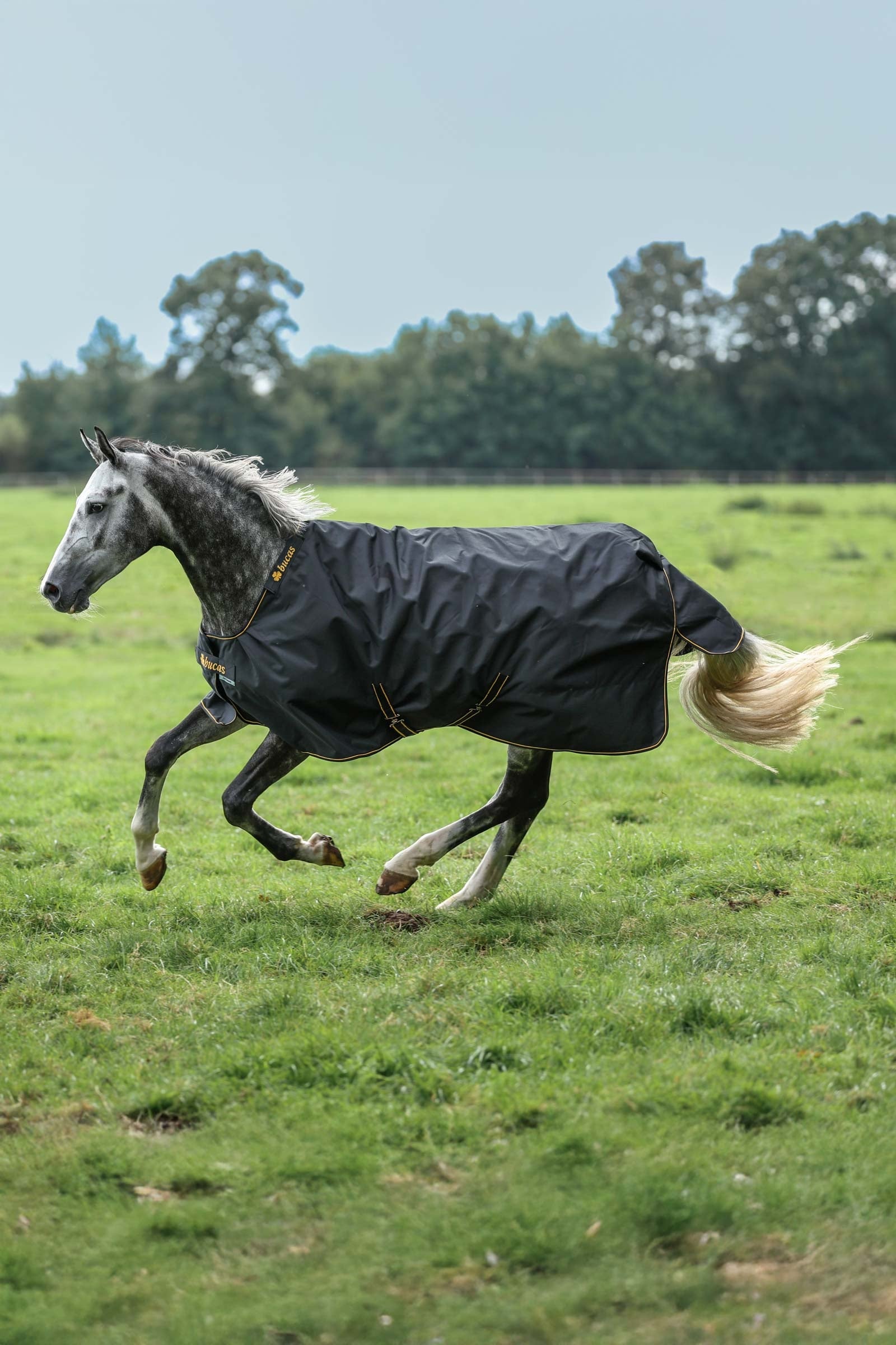 Bucas Irish Turnout 150 g Rug & Neck Set Horse Rugs