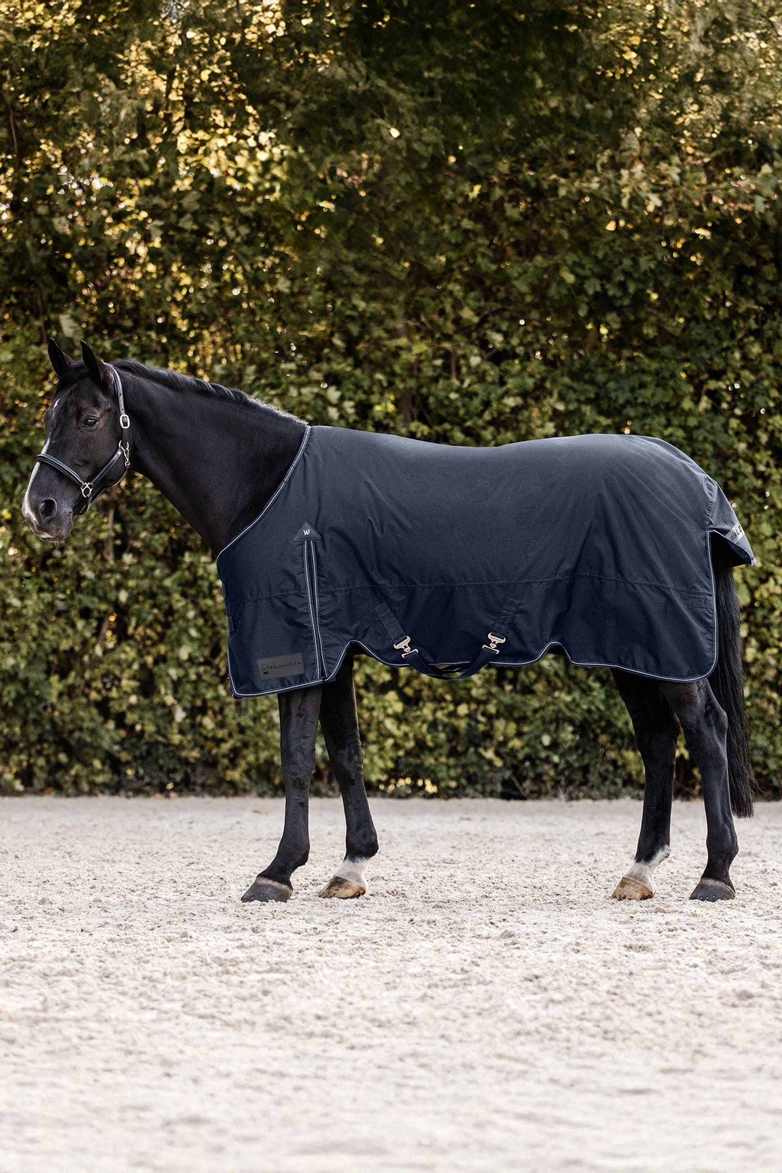 Waldhausen Arctic Výběhové deky, 50g Horse Rugs