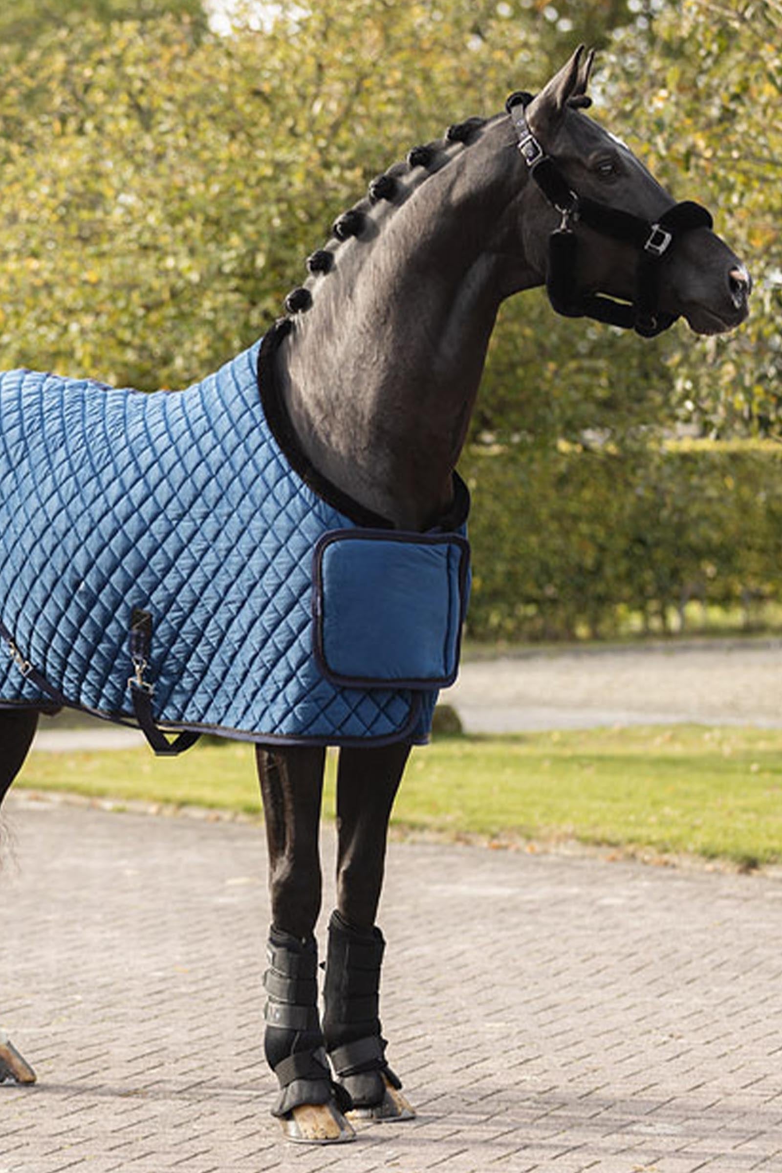 Anky ANKY Velvet Show Rug, 350 g Horse Rugs