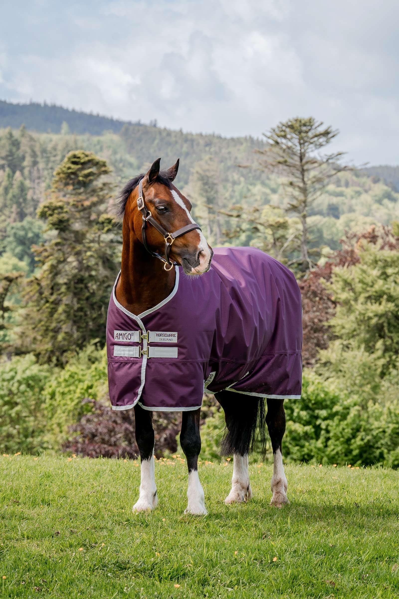 Horseware Amigo Hero Ripstop výběhová deka, 50g Horse Rugs