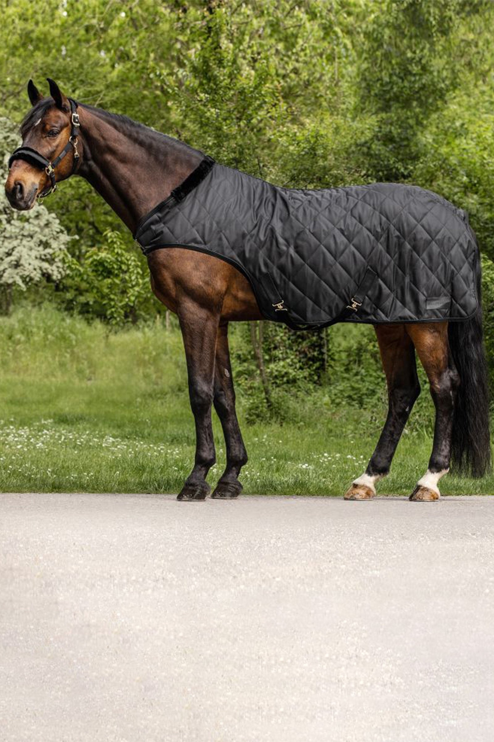 Waldhausen Exclusive přikrývka pro vedení koní, 50 g Horse Rugs