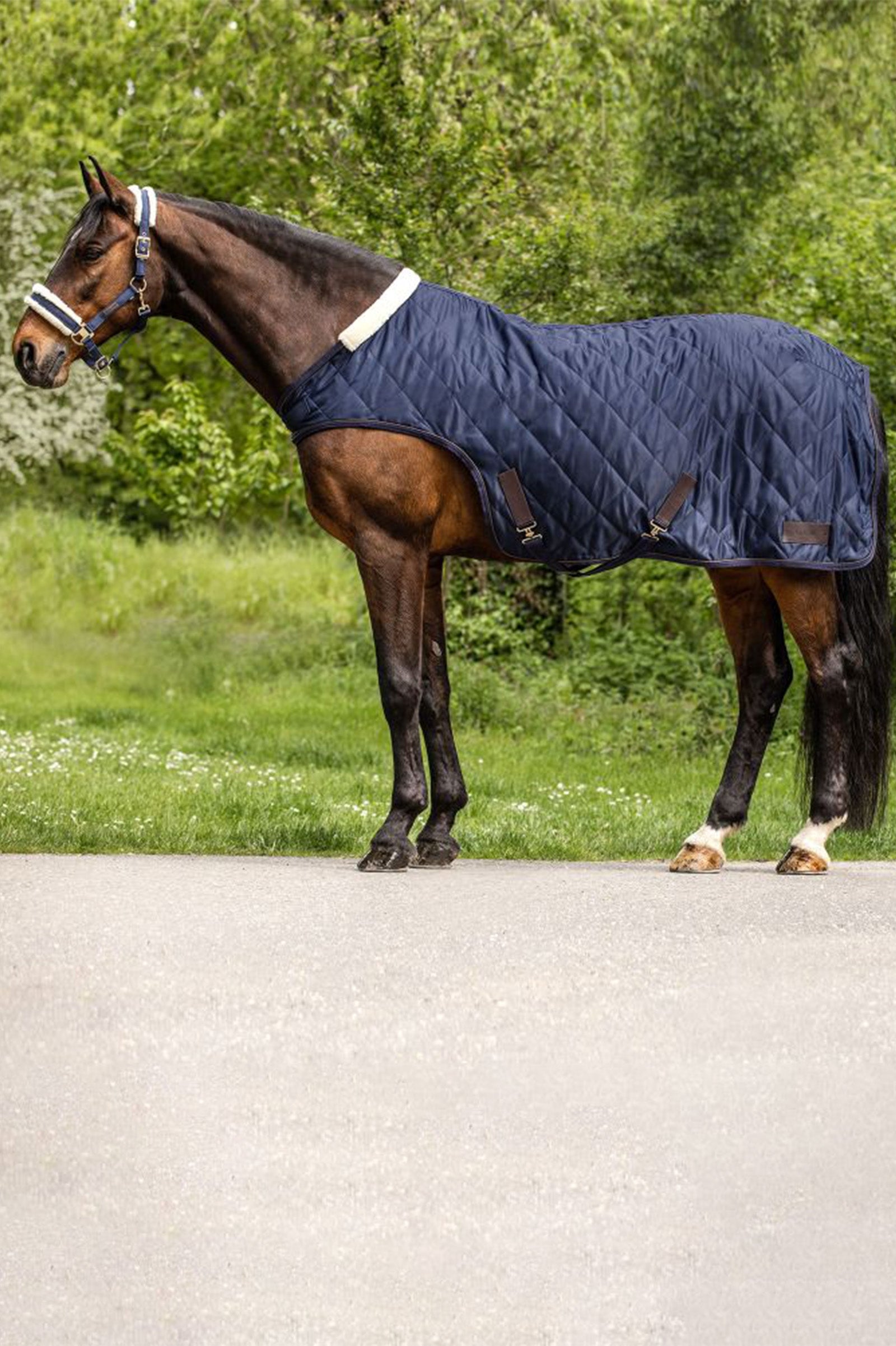 Waldhausen Exclusive přikrývka pro vedení koní, 50 g Horse Rugs