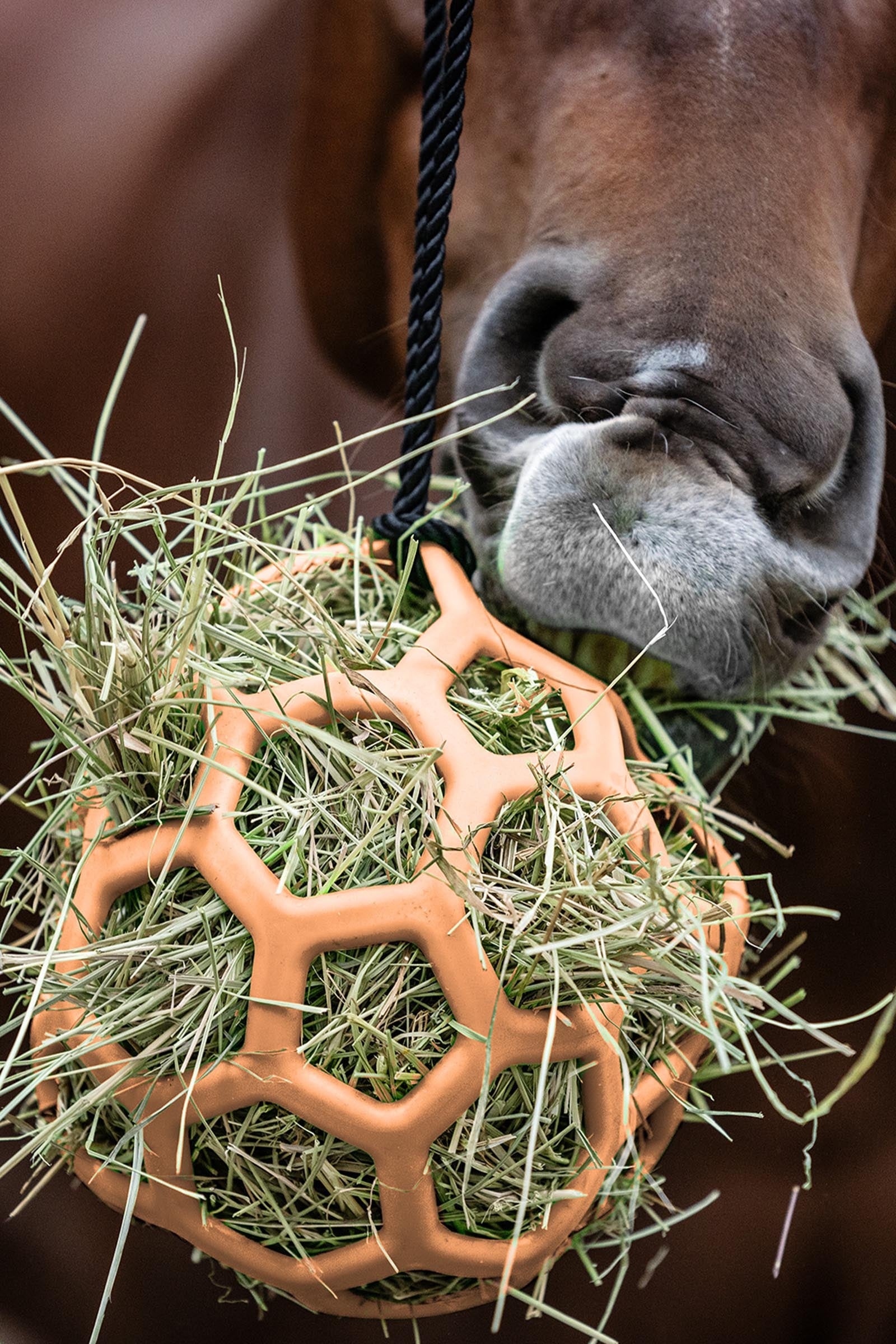 Waldhausen seno míč Horse Feeders & Waterers