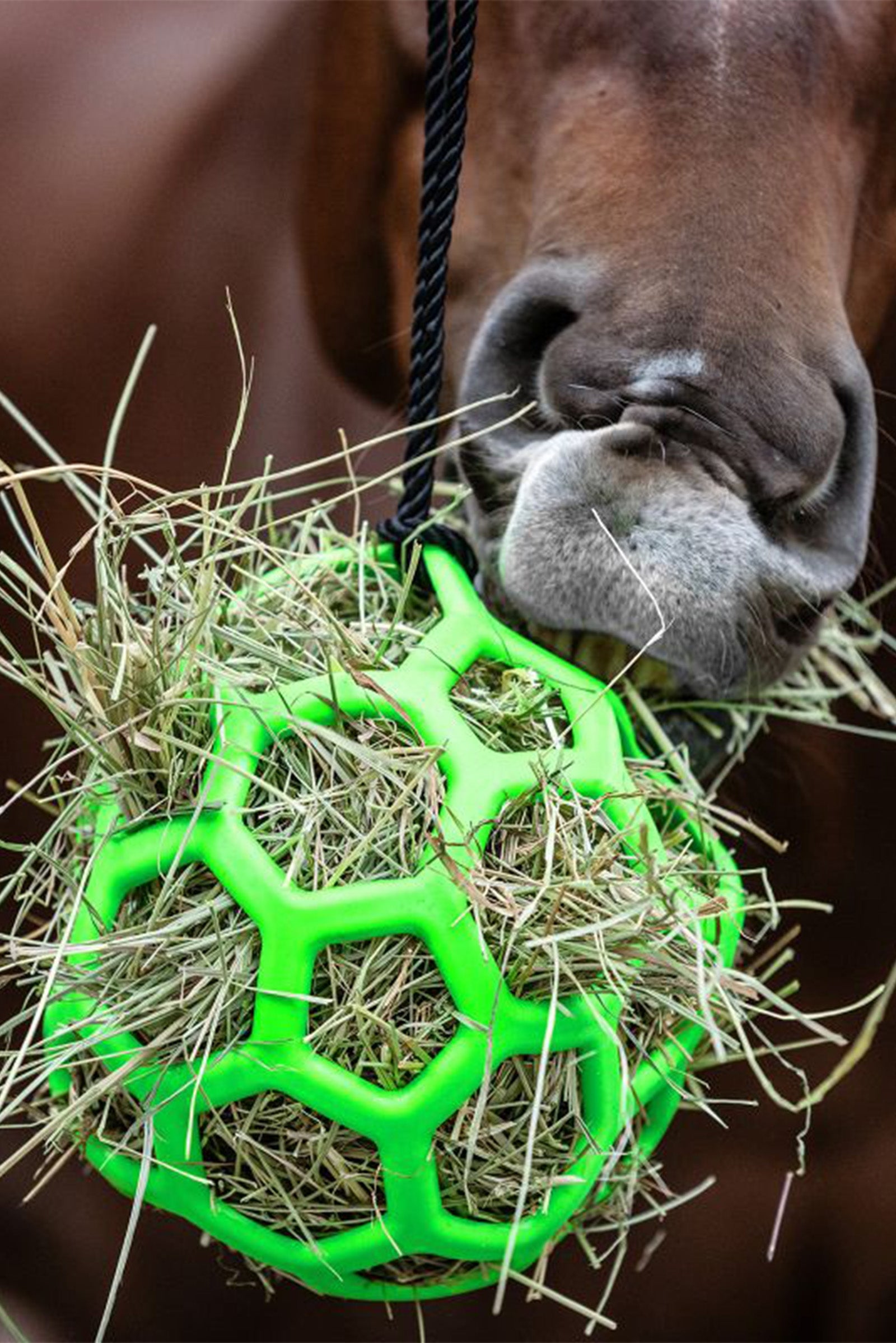 Waldhausen Seníkový míč Horse Feeders & Waterers