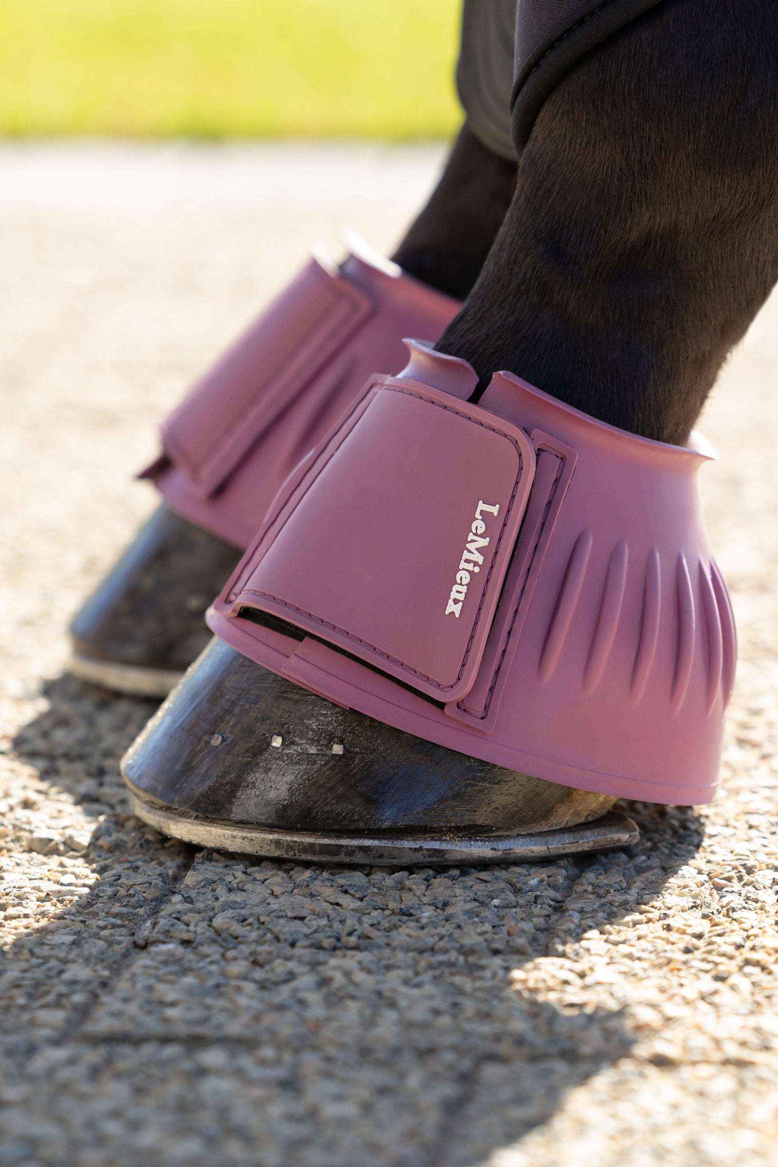 LeMieux Rubber Bell Boots Leg Protection & Hoof Protection for Horses