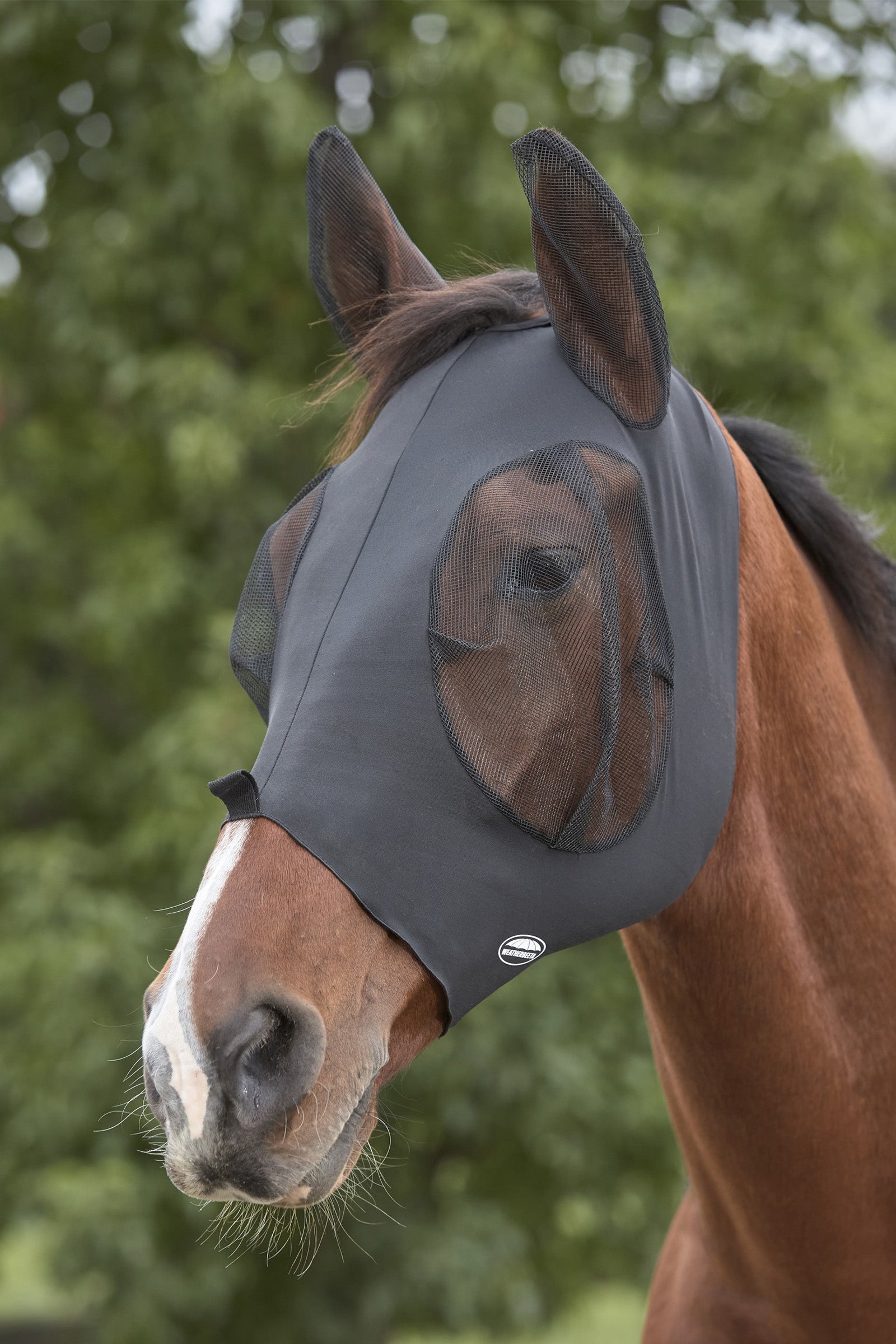 Weatherbeeta Deluxe Stretch Bug Eye Saver with Ears Antifly Protection for Horses