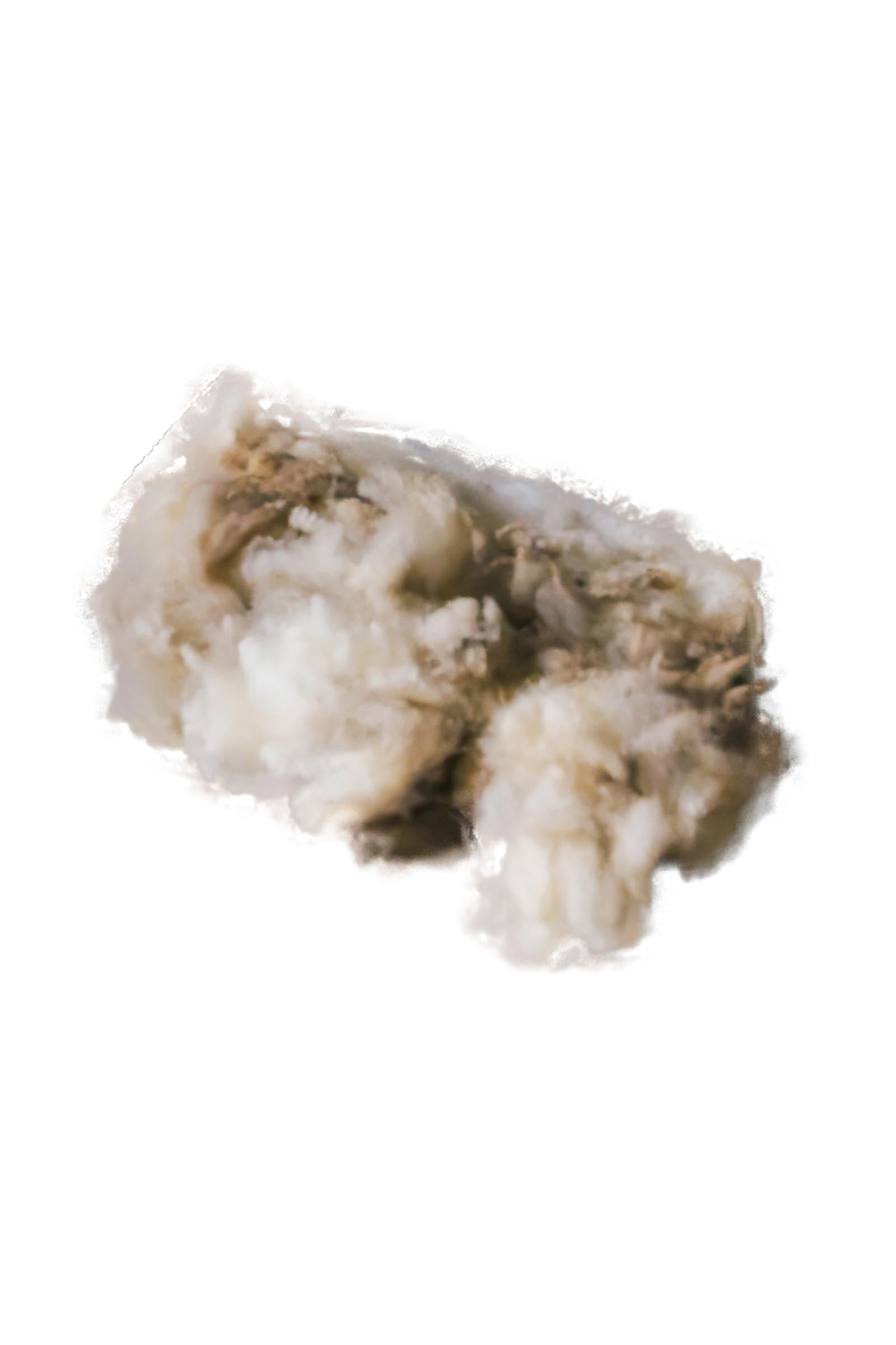 Grooming Deluxe terapeutická vlna, 150 g Horse Health Care