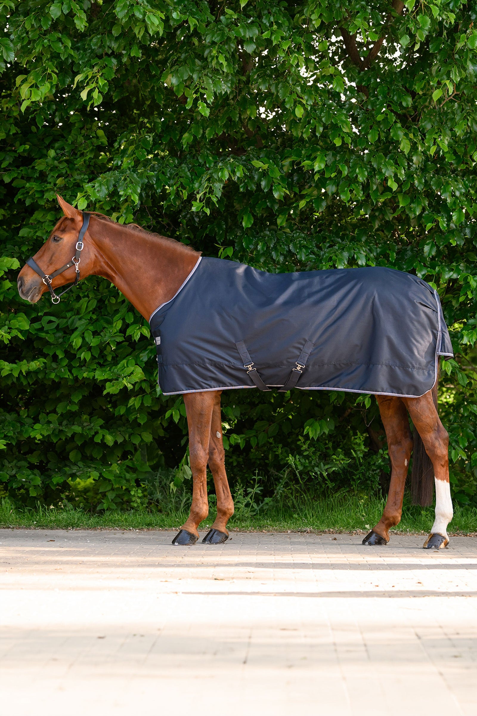 Waldhausen ECONOMIC lehká výběhová deka Horse Rugs