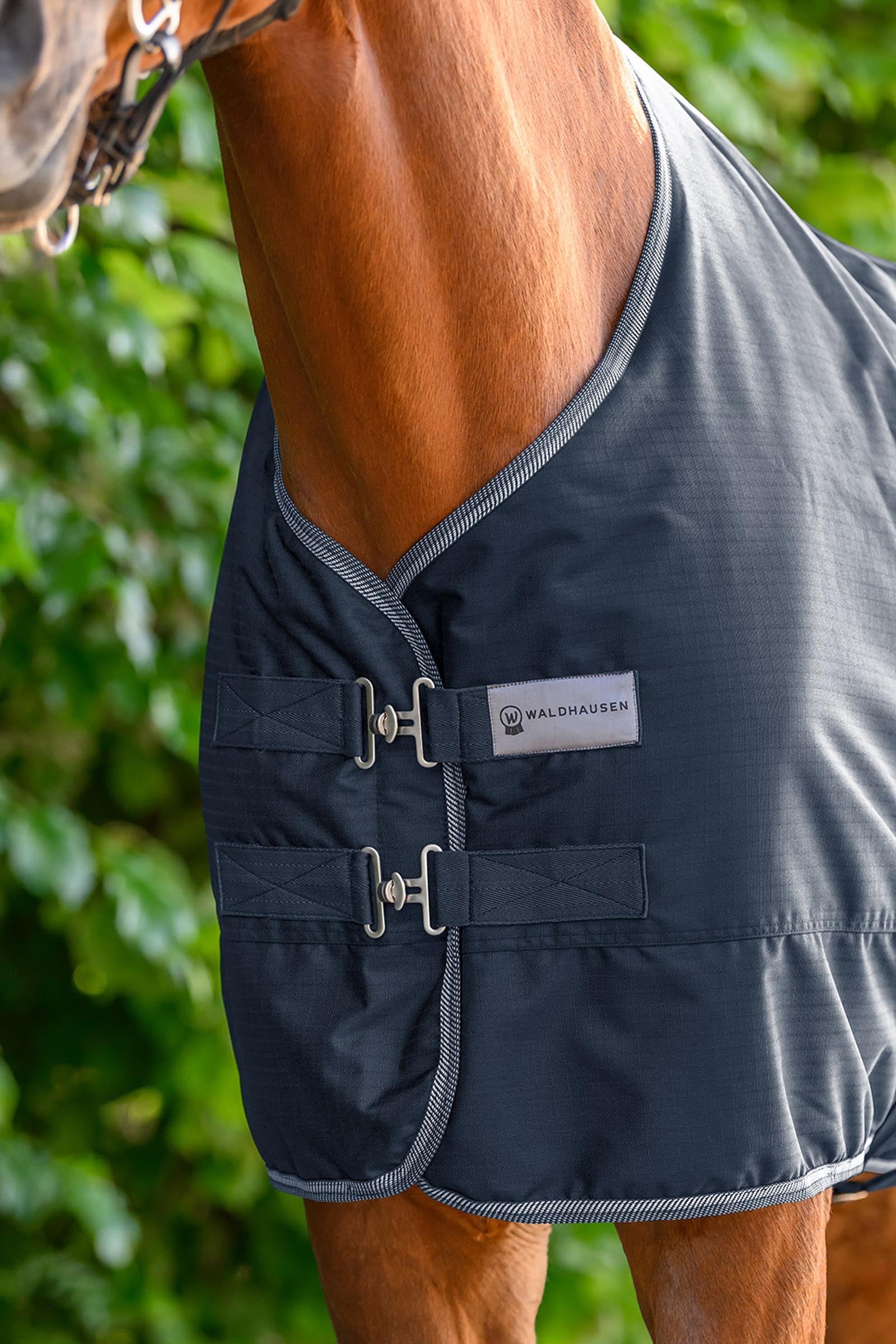 Waldhausen ECONOMIC Light Outdoor Rug Horse Rugs