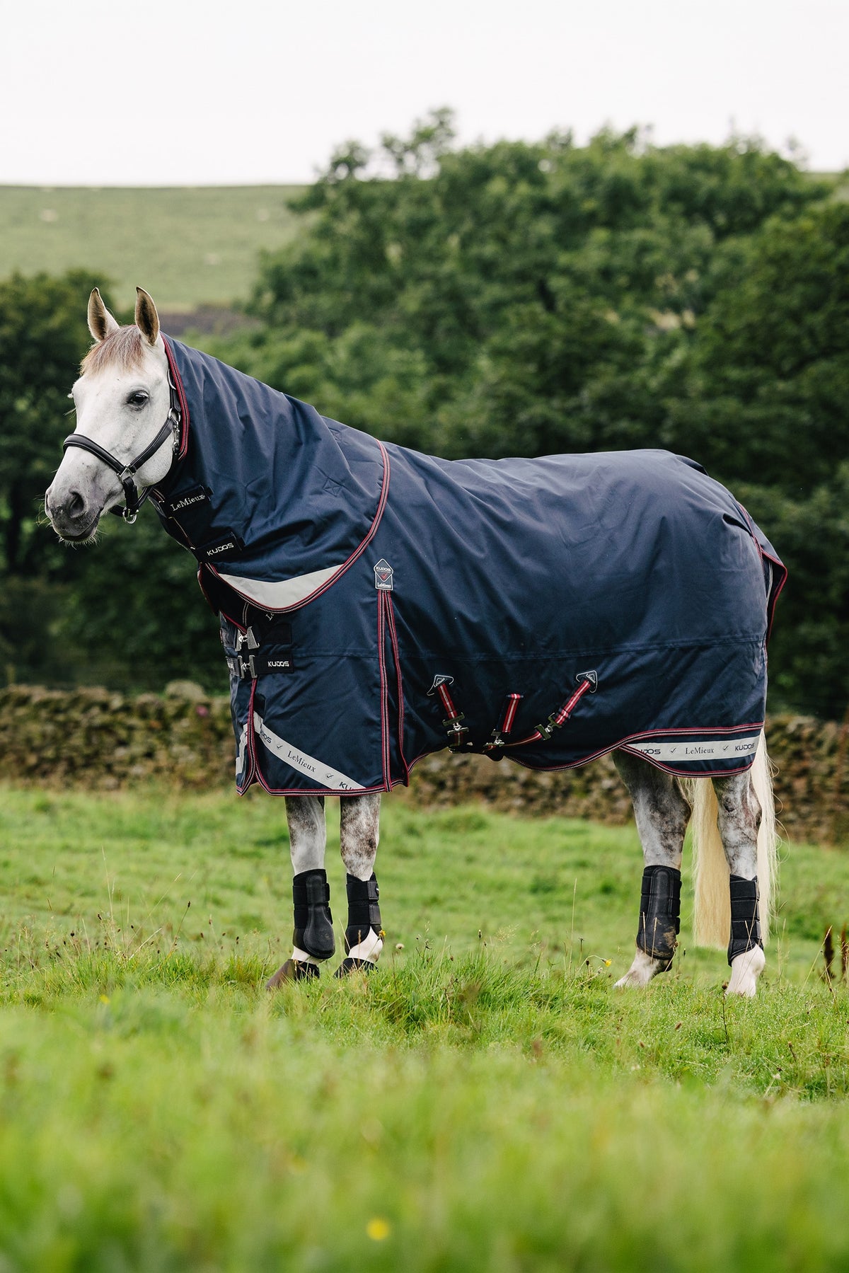 LeMieux Kudos Turnout Rug W. Detachable Neck, 0 g Horse Rugs