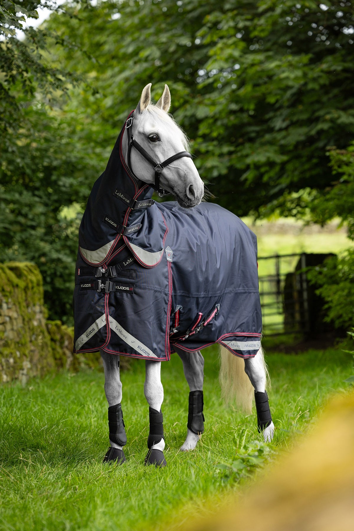 LeMieux Kudos Turnout Rug W. Detachable Neck, 0 g Horse Rugs