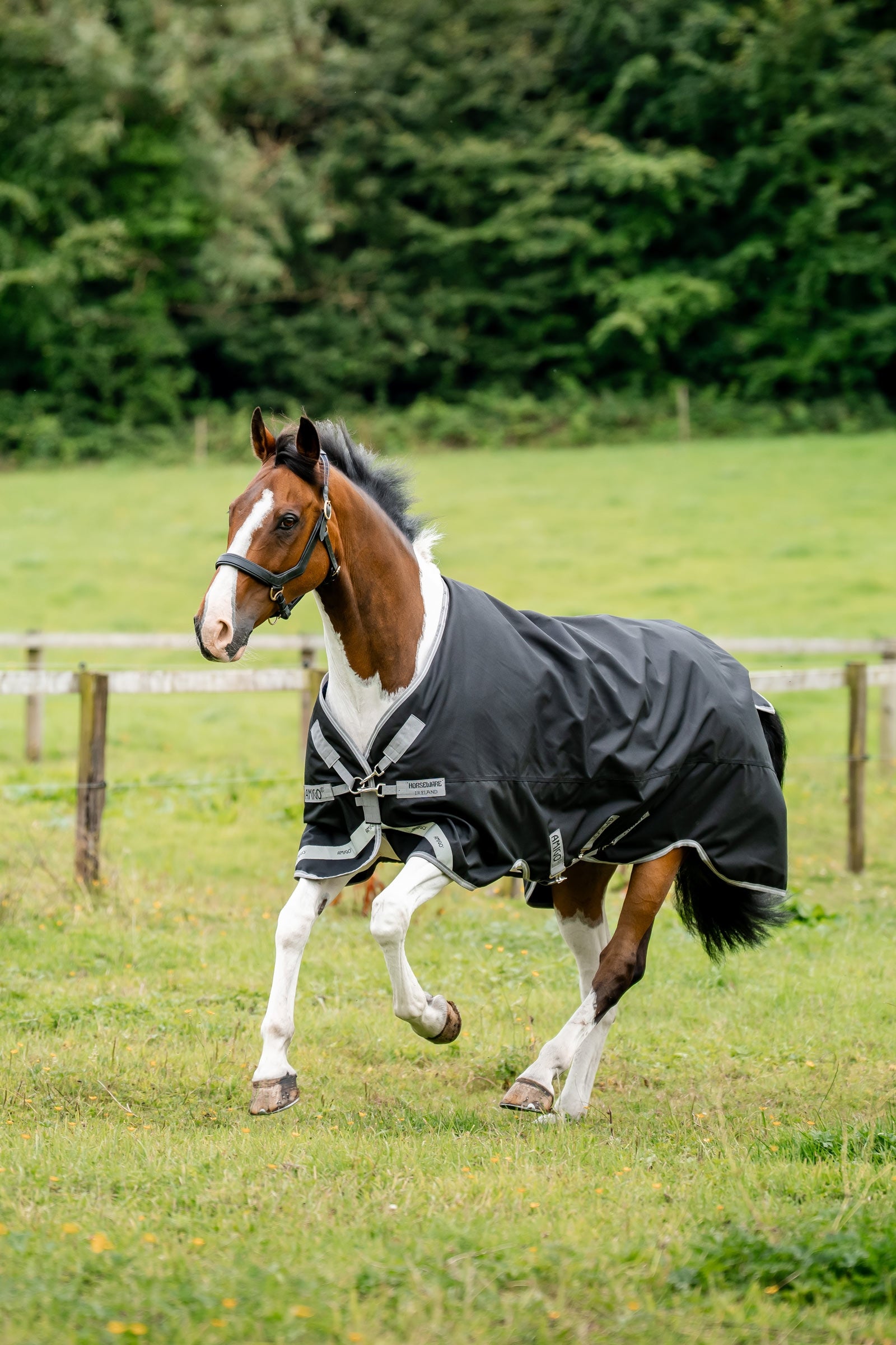 Horseware Amigo 1200D výběhová deka, 50 g Horse Rugs