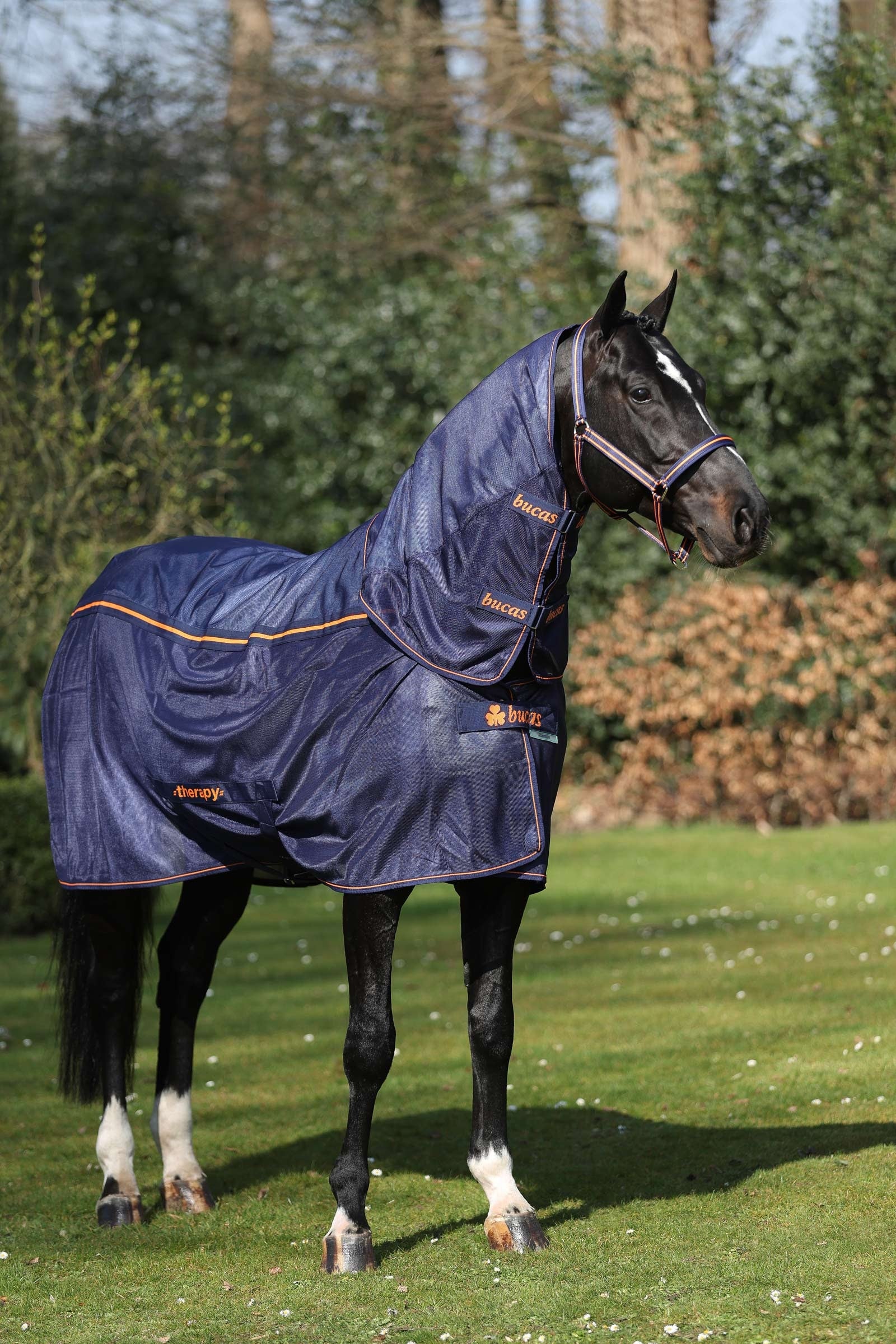 Bucas Therapy Mesh Chladicí koberec Horse Rugs