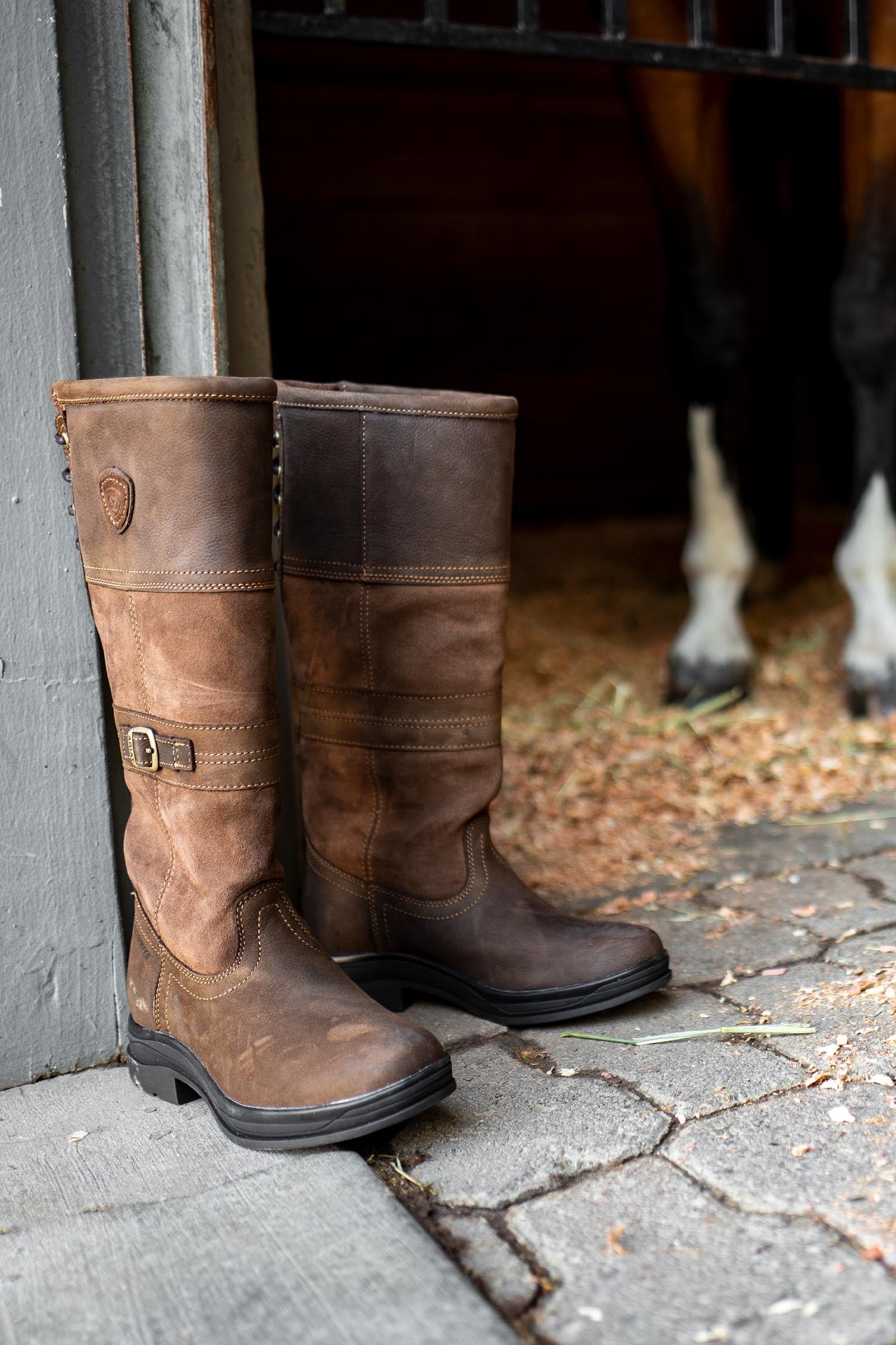 Ariat Langdale Women's Waterproof Boots Riding Boots & Riding Shoes