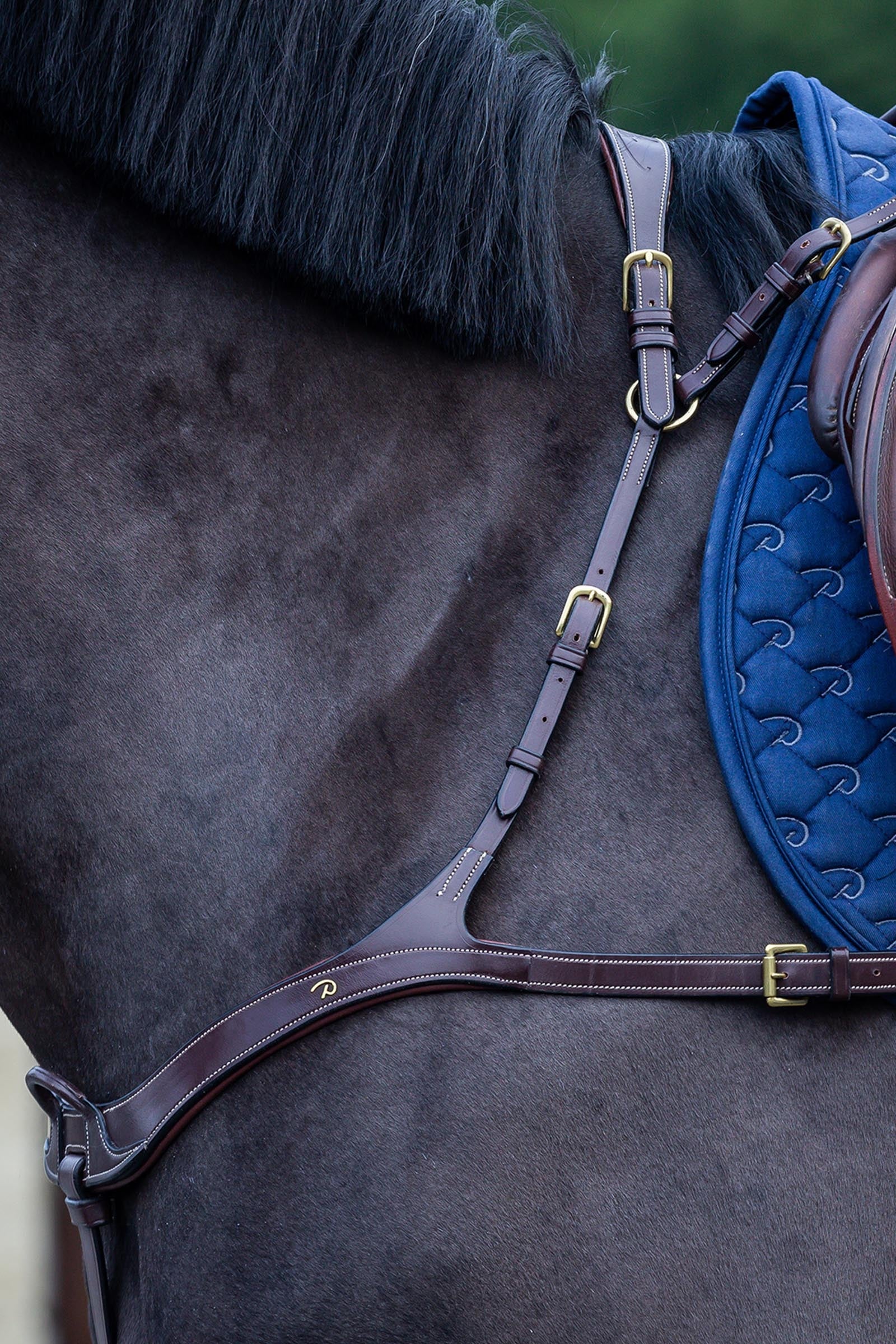 Dy'on D Collection anatomický prsní postroj Bridles & Reins