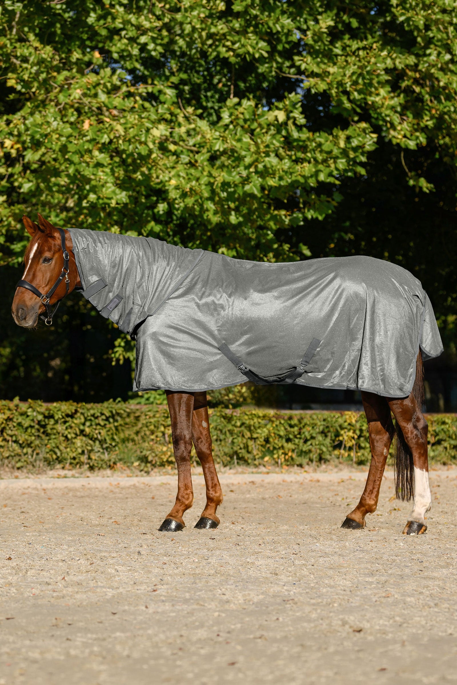 Waldhausen FlyControl deka proti hmyzu s krkem a UV ochranou Horse Rugs
