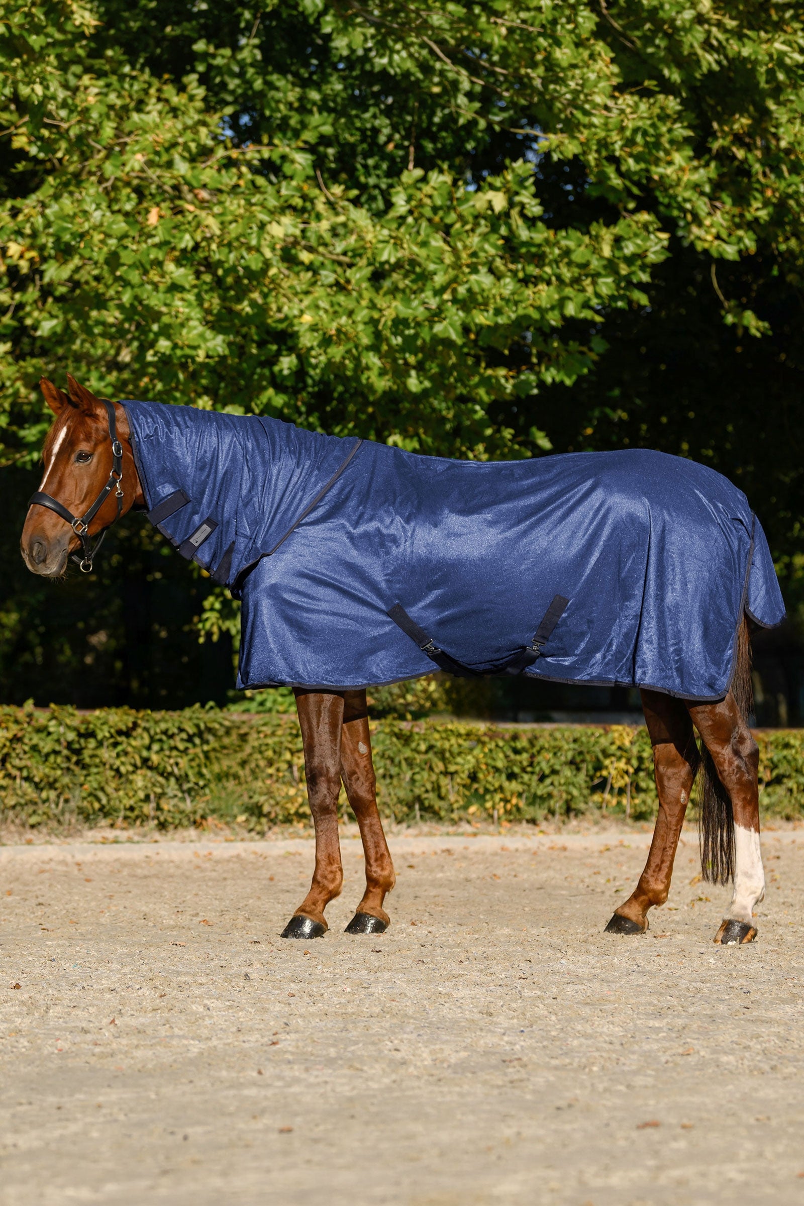 Waldhausen FlyControl deka proti hmyzu s krkem a UV ochranou Horse Rugs