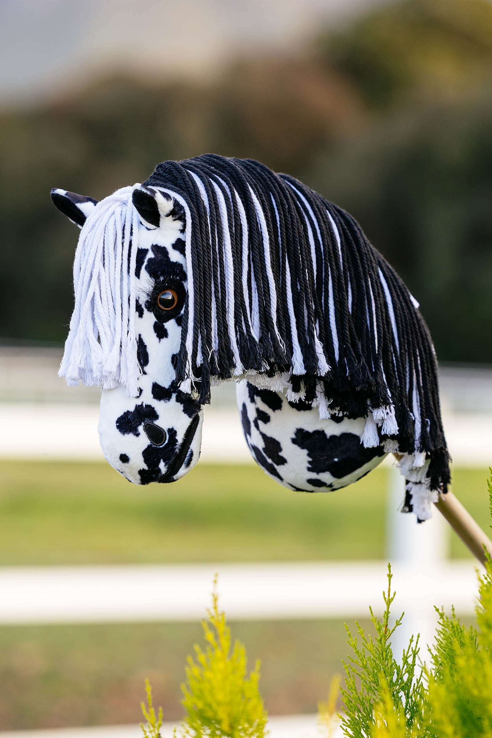 LeMieux Dakota Hobby Horse  Gifts & Toys
