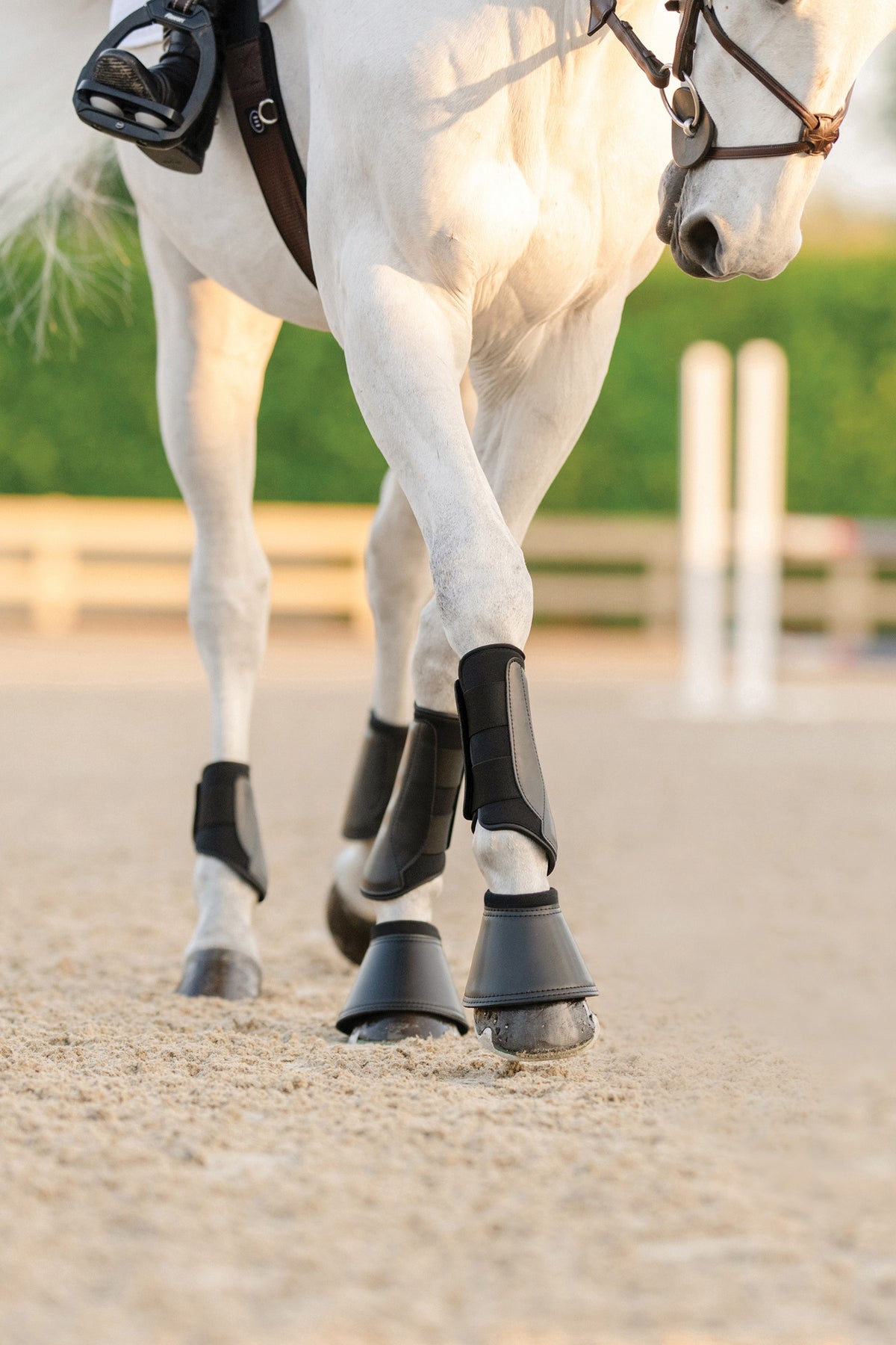 EquiFit Essential® EveryDay™ Front Boot (Pair) Leg & Hoof Protection