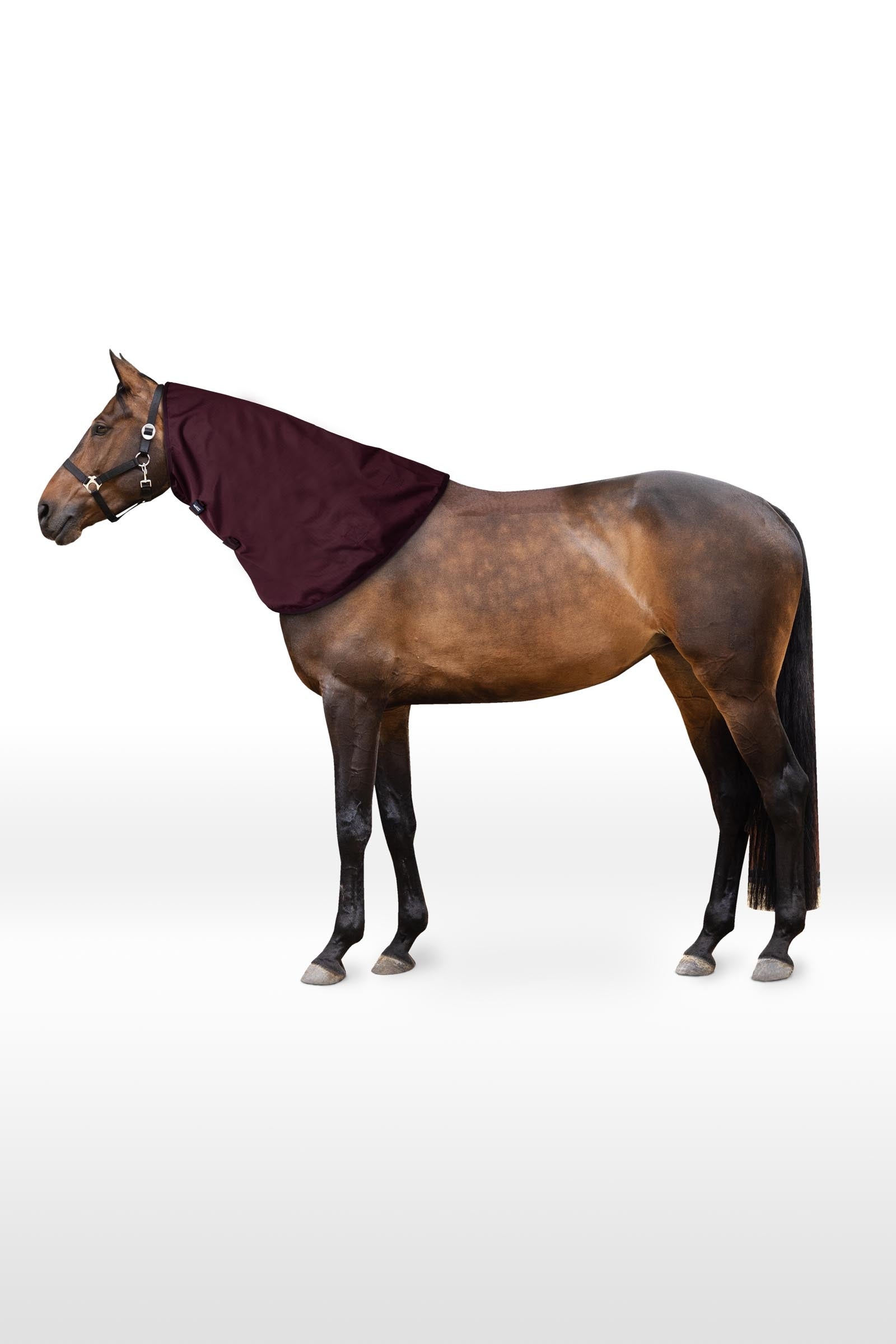 Horze Newbridge krční díl, 0 g Horse Rugs