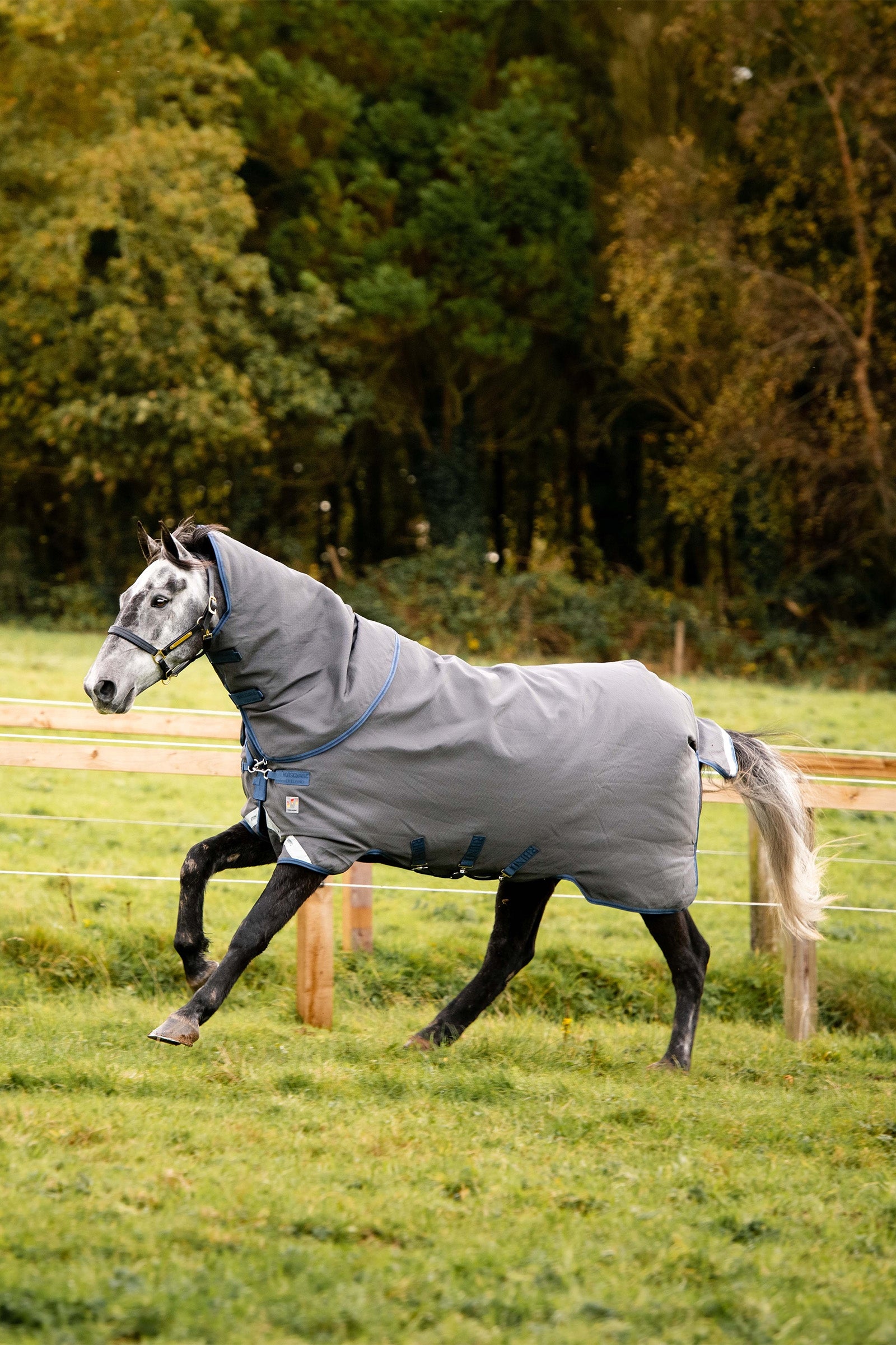 Horseware Rhino Plus HexSTOP, 0g Horse Rugs
